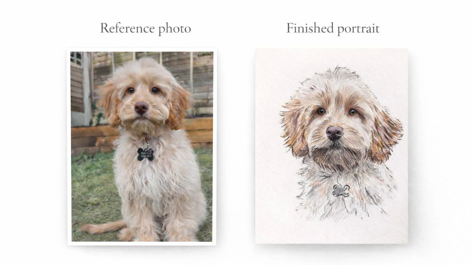 Reference photo of a fluffy puppy beside the finished hand-drawn pet portrait, showing a custom dog commission from photo to artwork by Jonny Atkinson