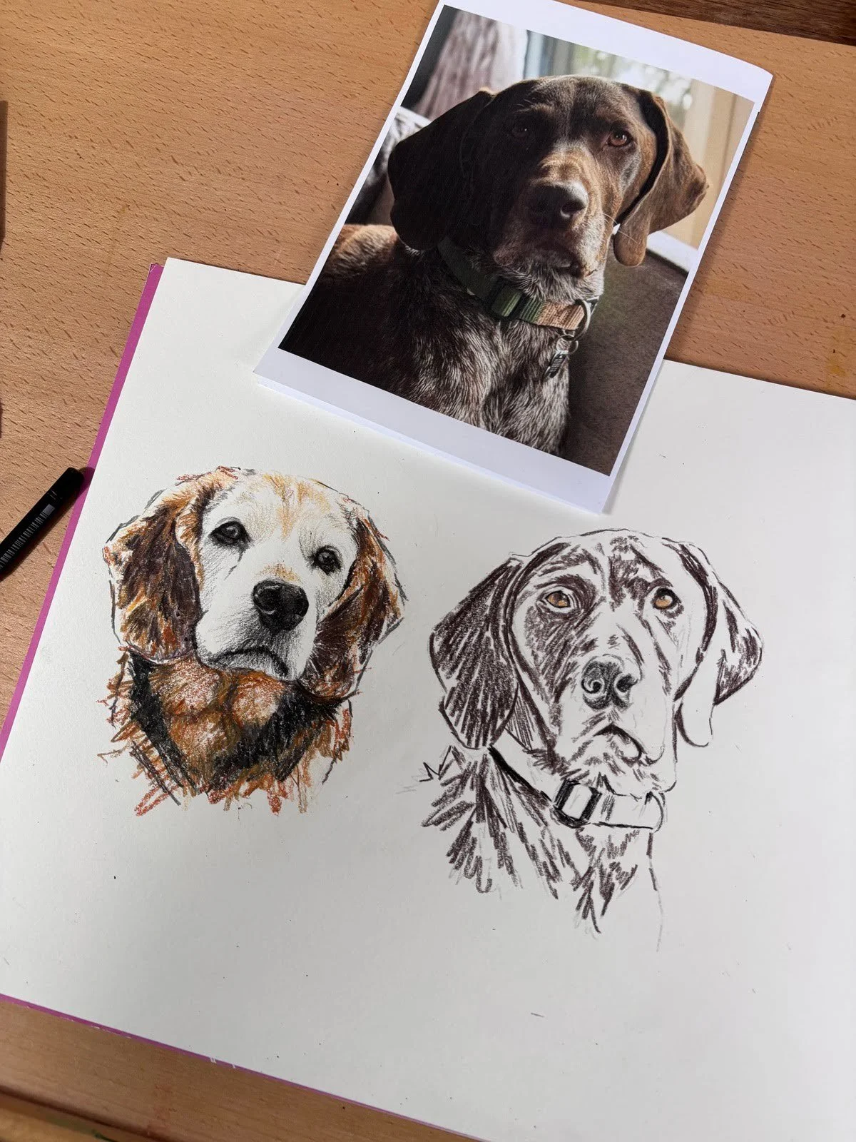 Three dog pet portrait in progress with reference photo