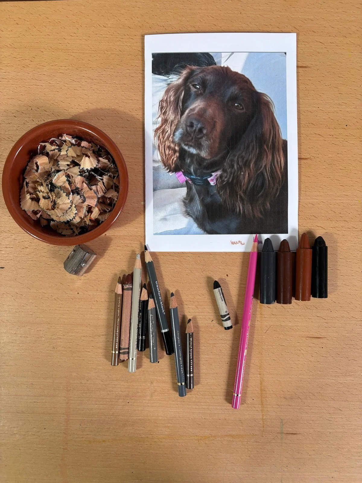 Reference photo and materials for custom pet portrait