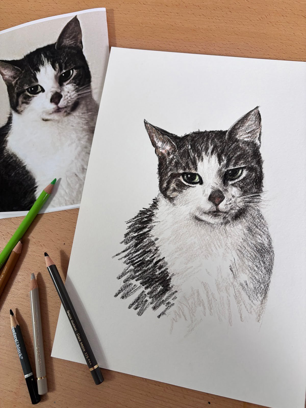 Custom cat portrait next to reference photo