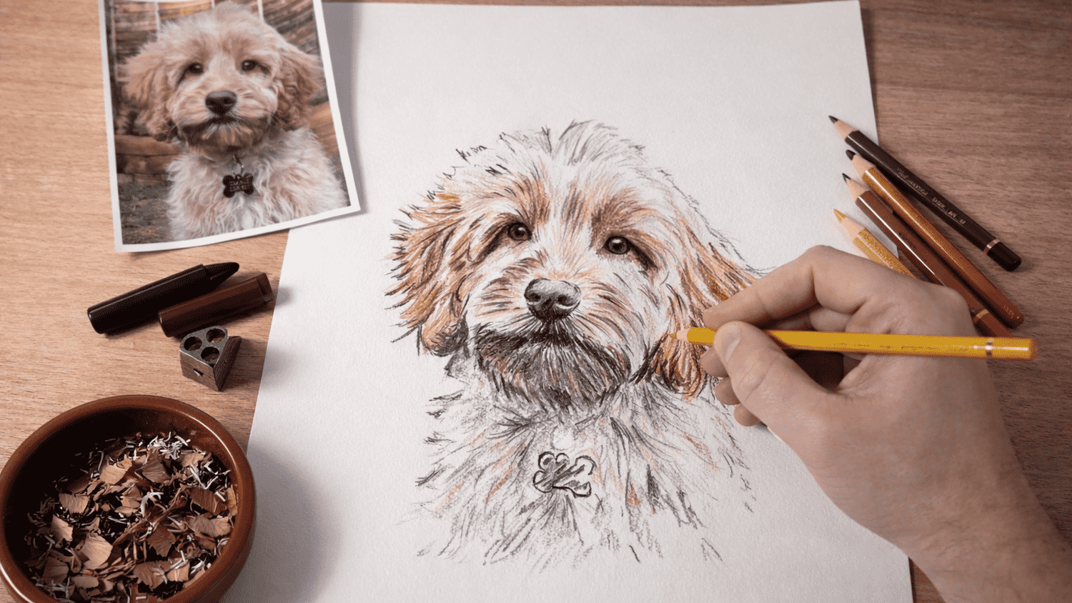 Finished hand-drawn Cockapoo portrait of Maverick created from a favourite photograph