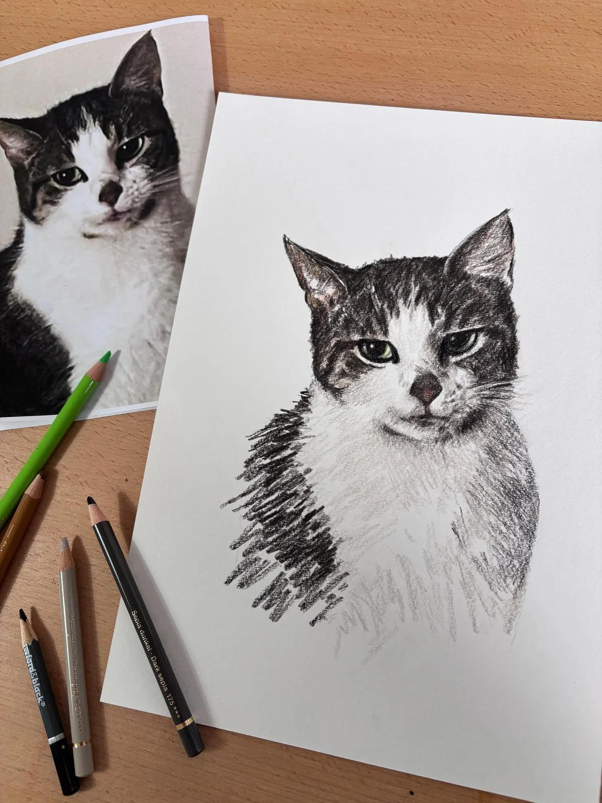 Custom cat portrait next to reference photo