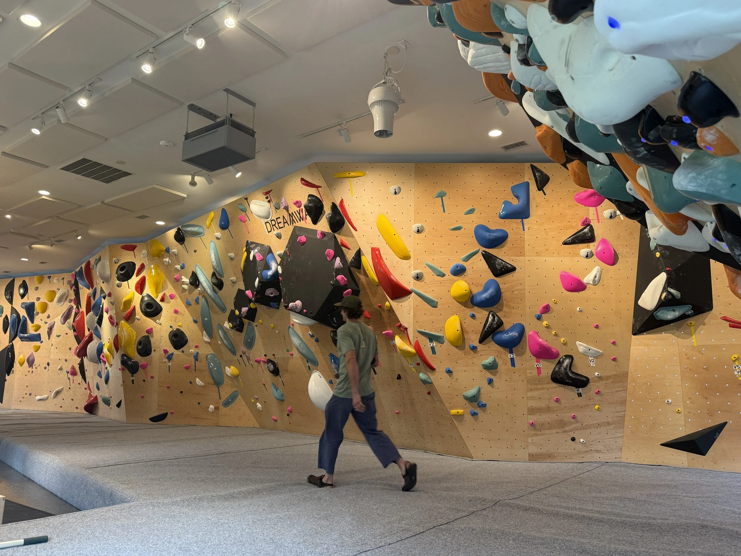 Rear area of the bouldering wall 