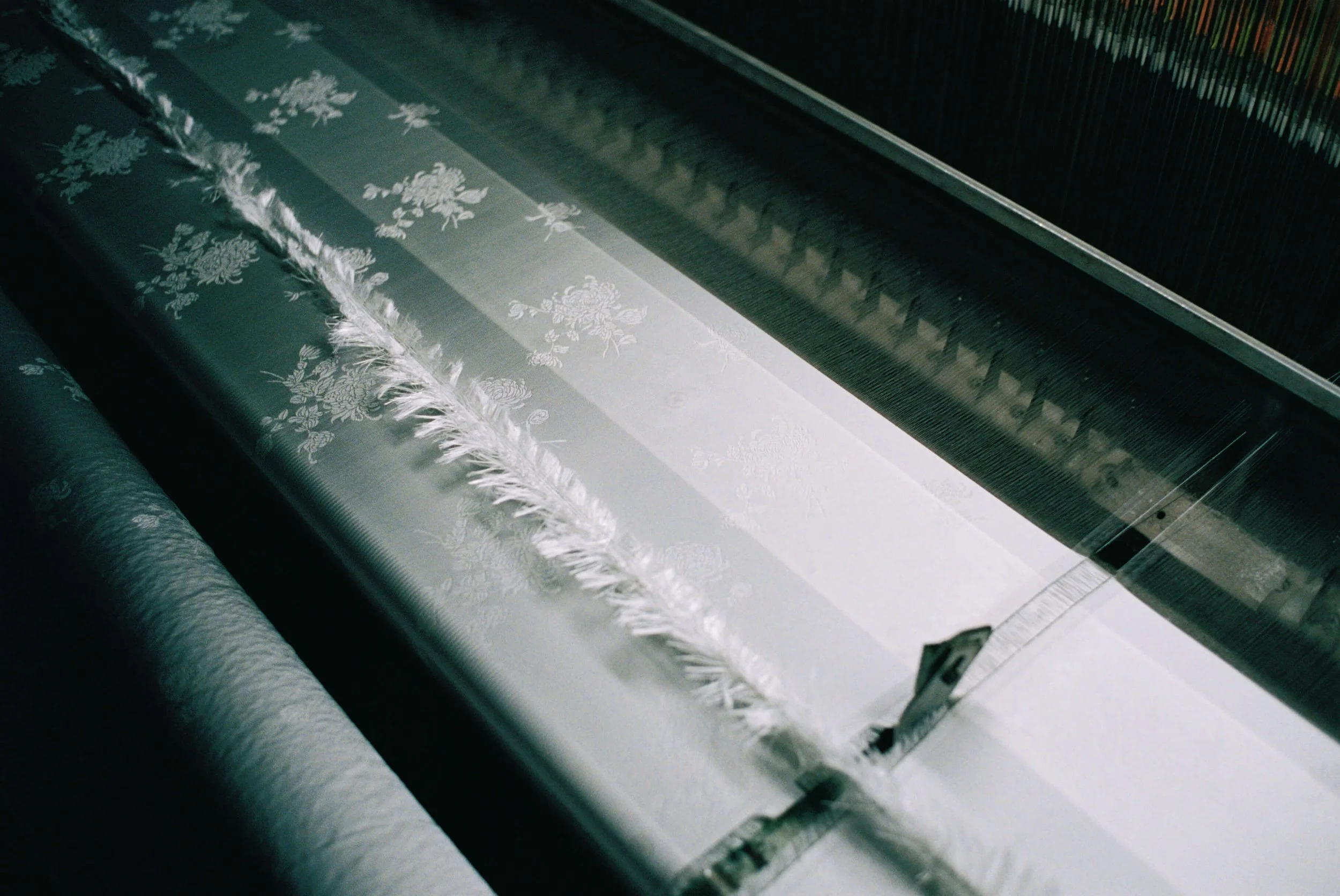 Beyond the Showroom: Following Silk in Vietnam