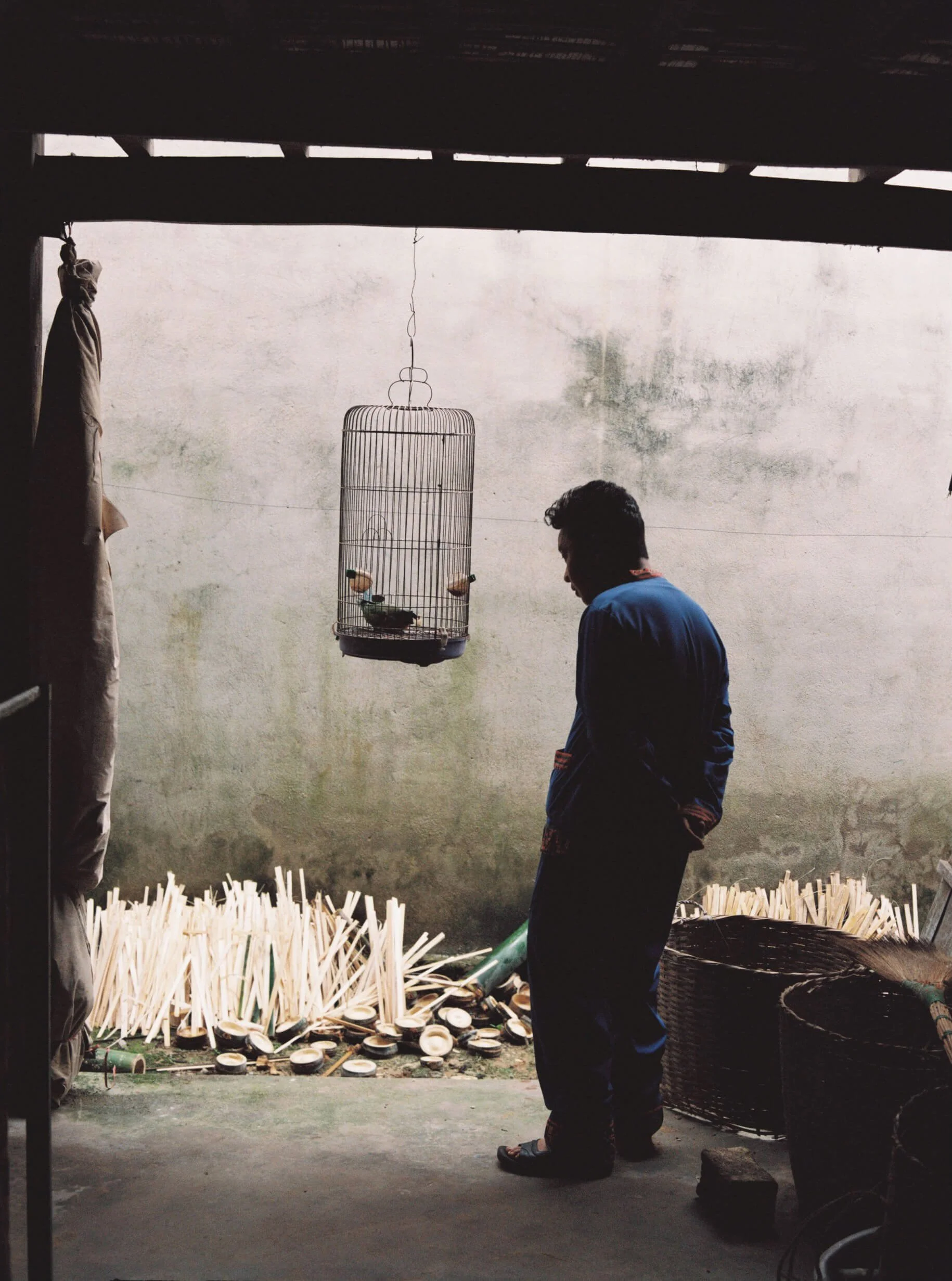A man in a blue shirt. In the background, there is a tall birdcage hanging from the ceiling, and large stacks of cut wood or bamboo pieces on the ground. The scene appears to be outdoors or in a simple open-sided structure with a stained wall behind.