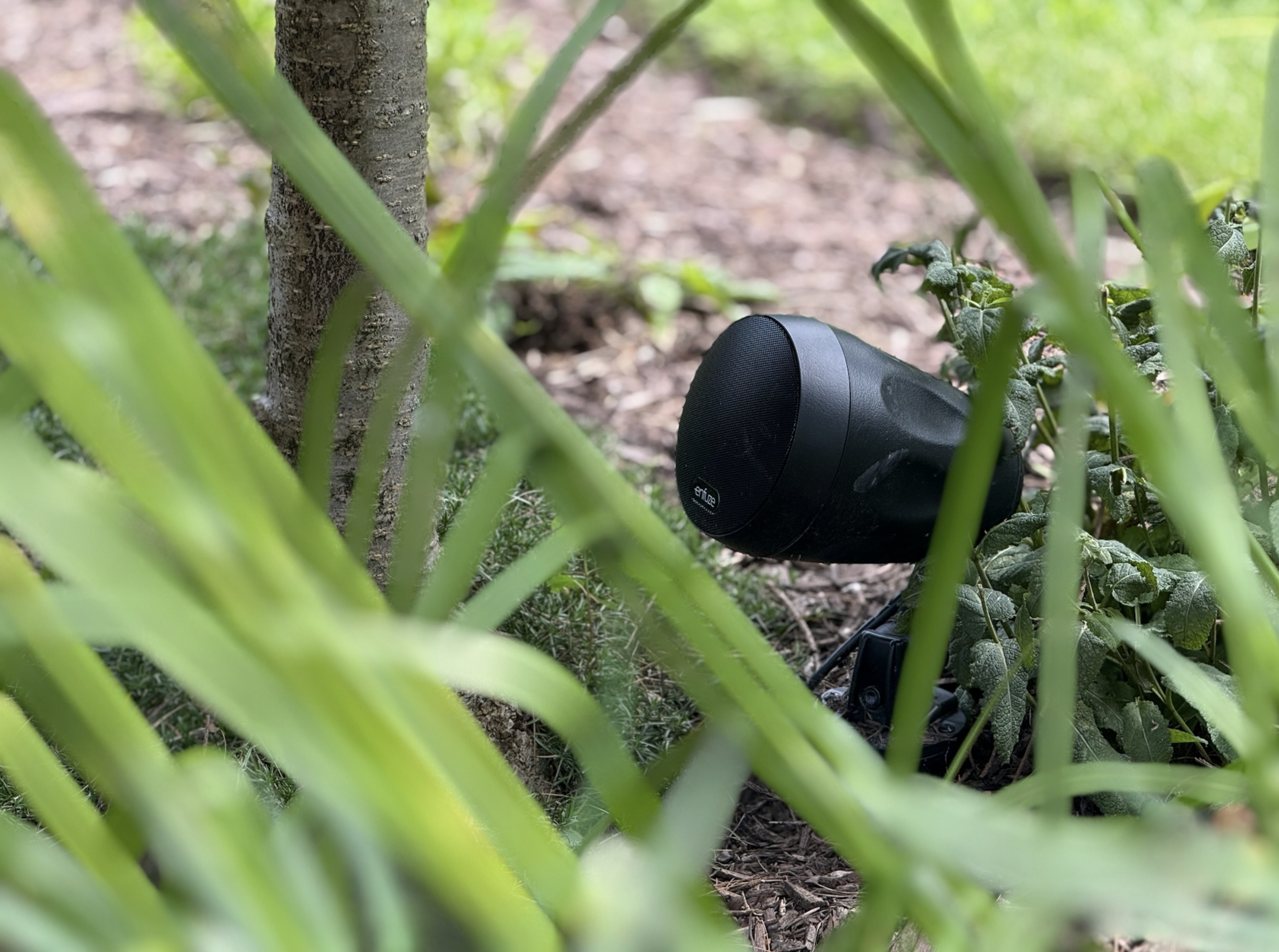 A black portable speaker lying on the ground amid green plants and a tree trunk, outdoors.