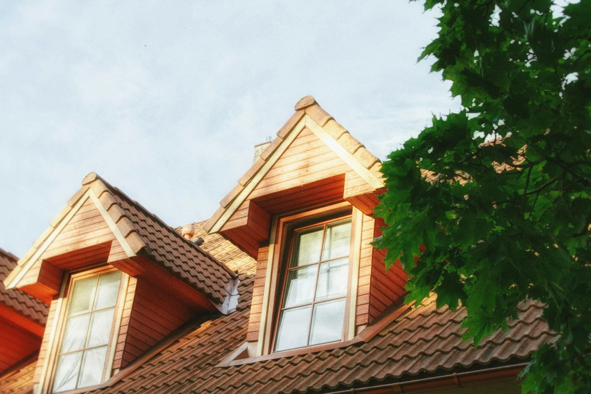 Signs Your Home Needs Professional Roof Repairs