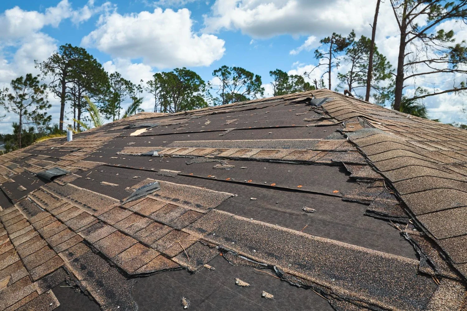 How to Spot Roof Trouble in the Virginia Beach Heat
