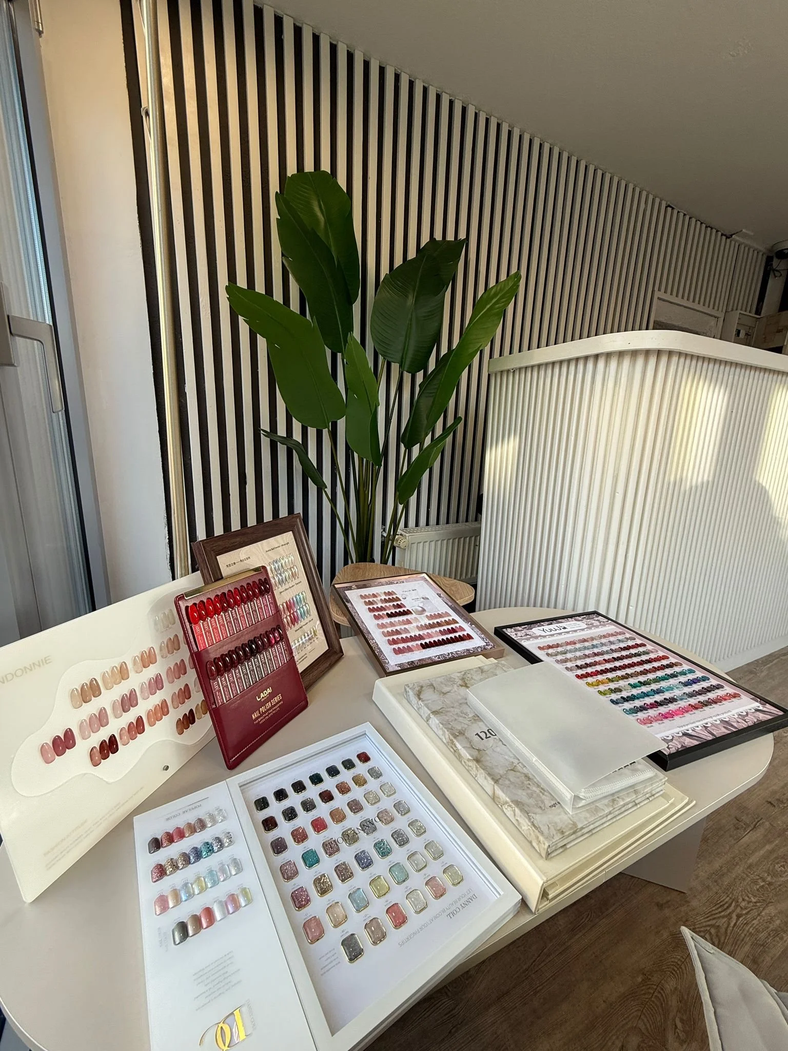 Nail polish color samples displayed on tables with a large green plant in the background.