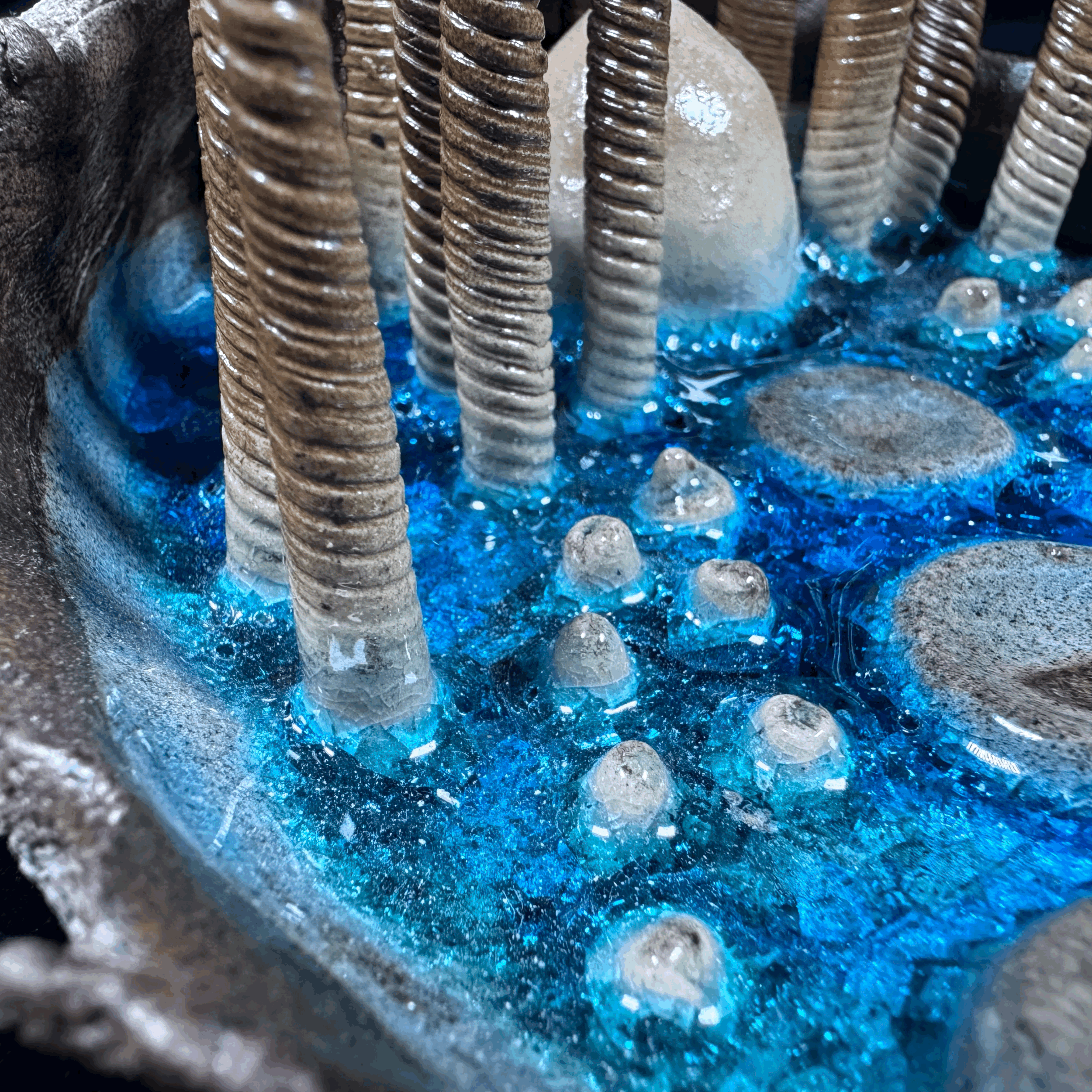 tempImage09vRYM.gif