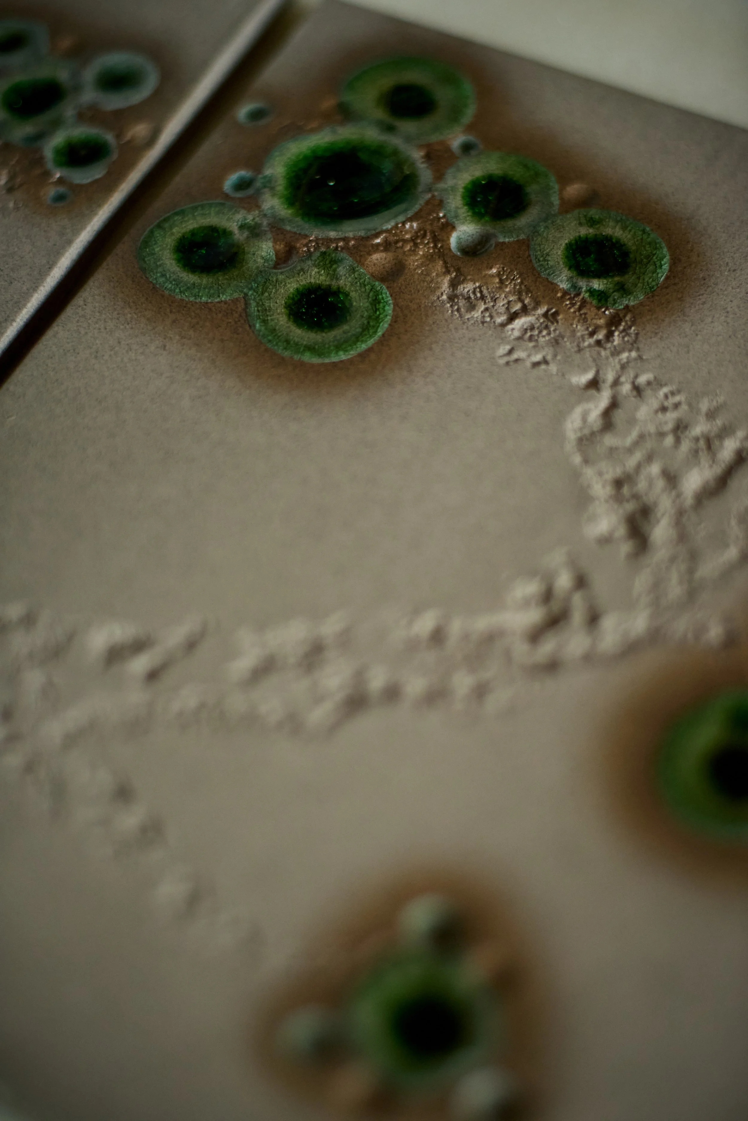 Close-up of mold colonies on a Teflon-coated surface, showing green circular growths with darker centers and some white powdery residue.