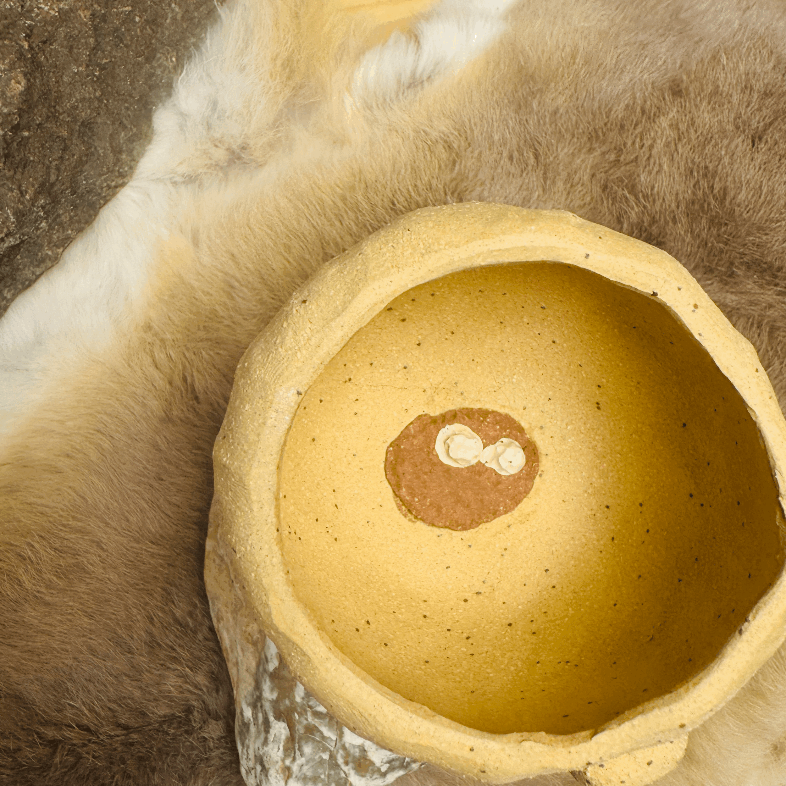 tempImageKusWHj.gif (Copy)