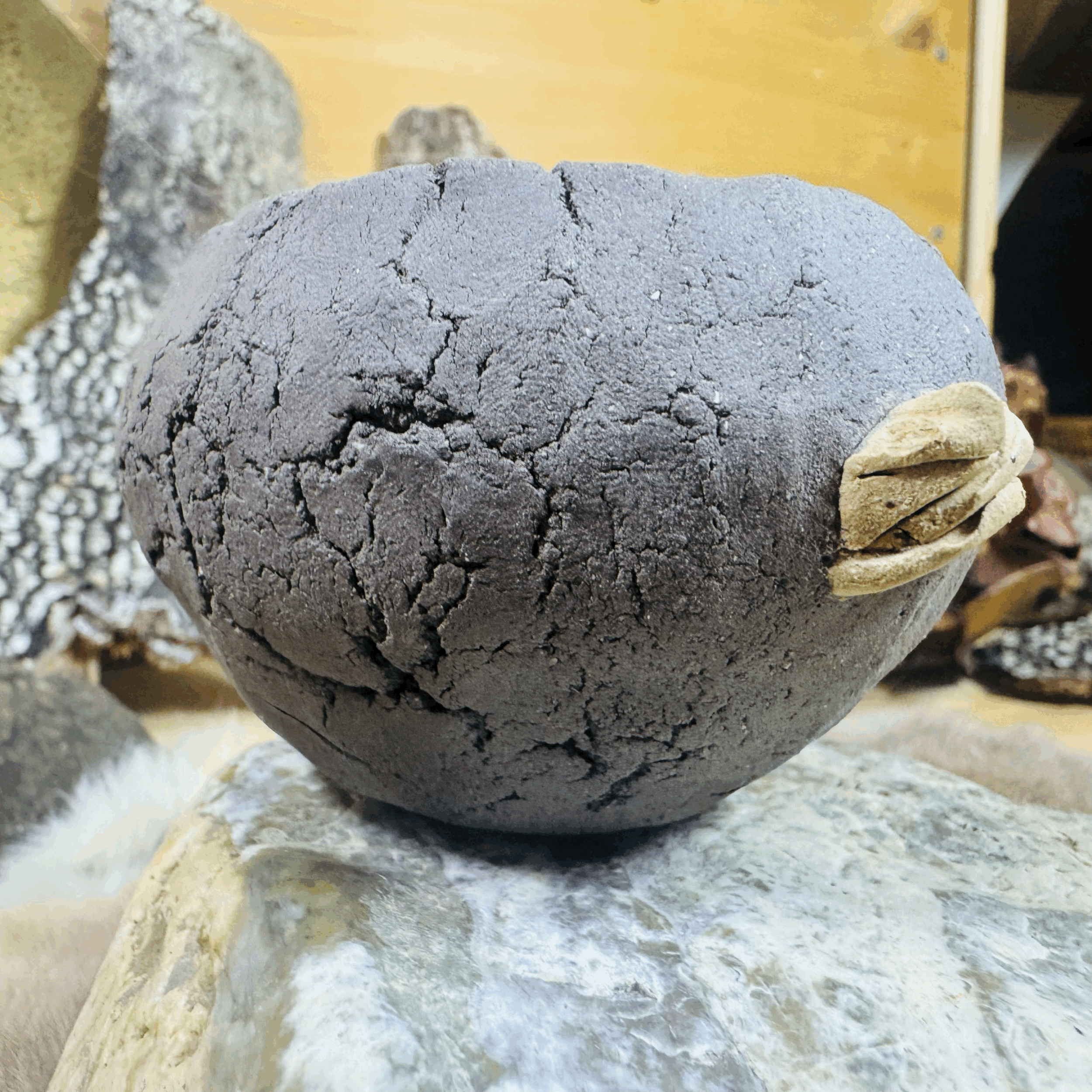 tempImageTUGJYL.gif (Copy)