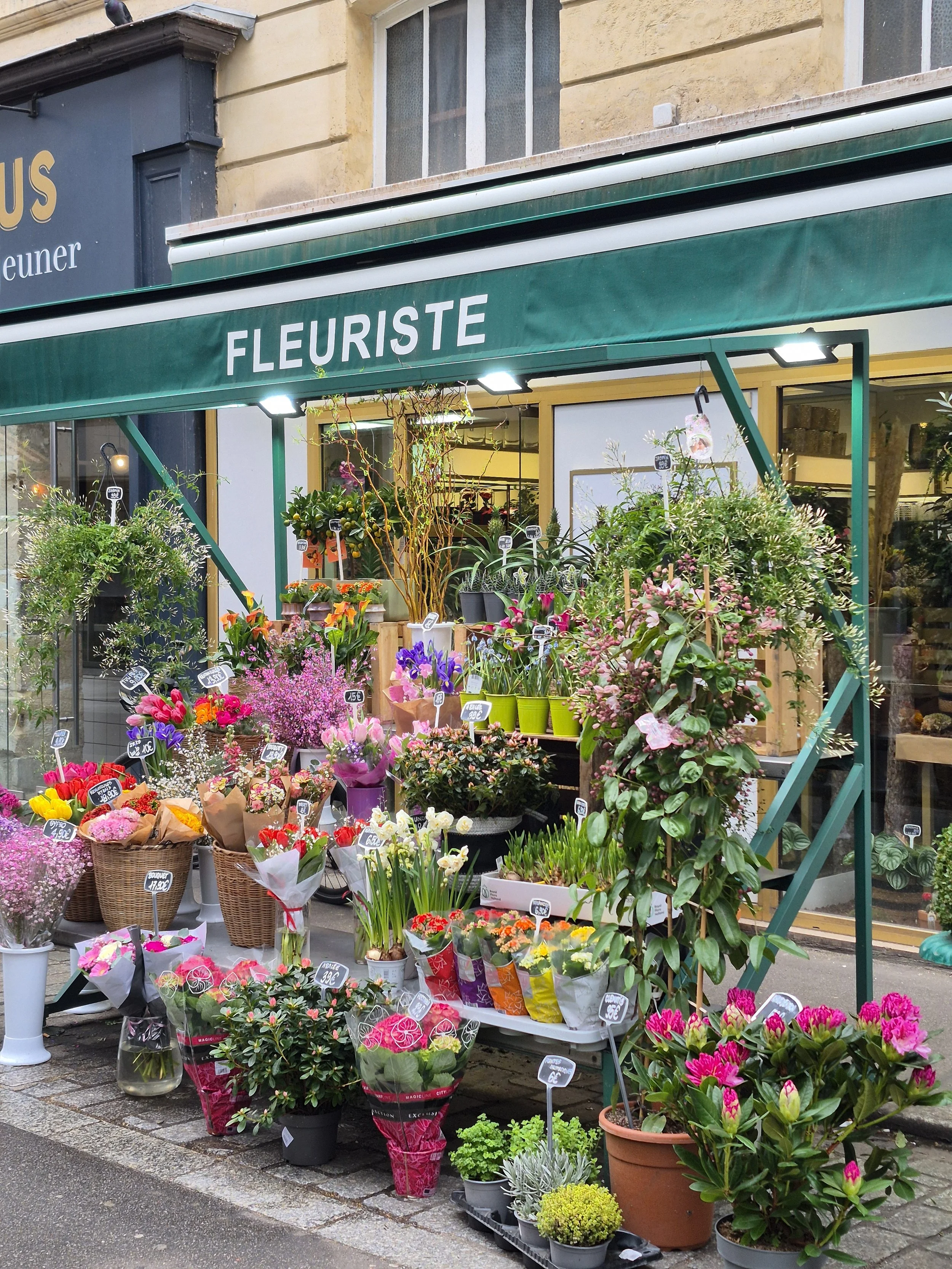 Une boutique de fleurs avec un auvent vert portant l'inscription "FLEURISTE". Devant la boutique, il y a de nombreuses plantes et bouquets de fleurs colorés exposés sur des étagères et au sol.
