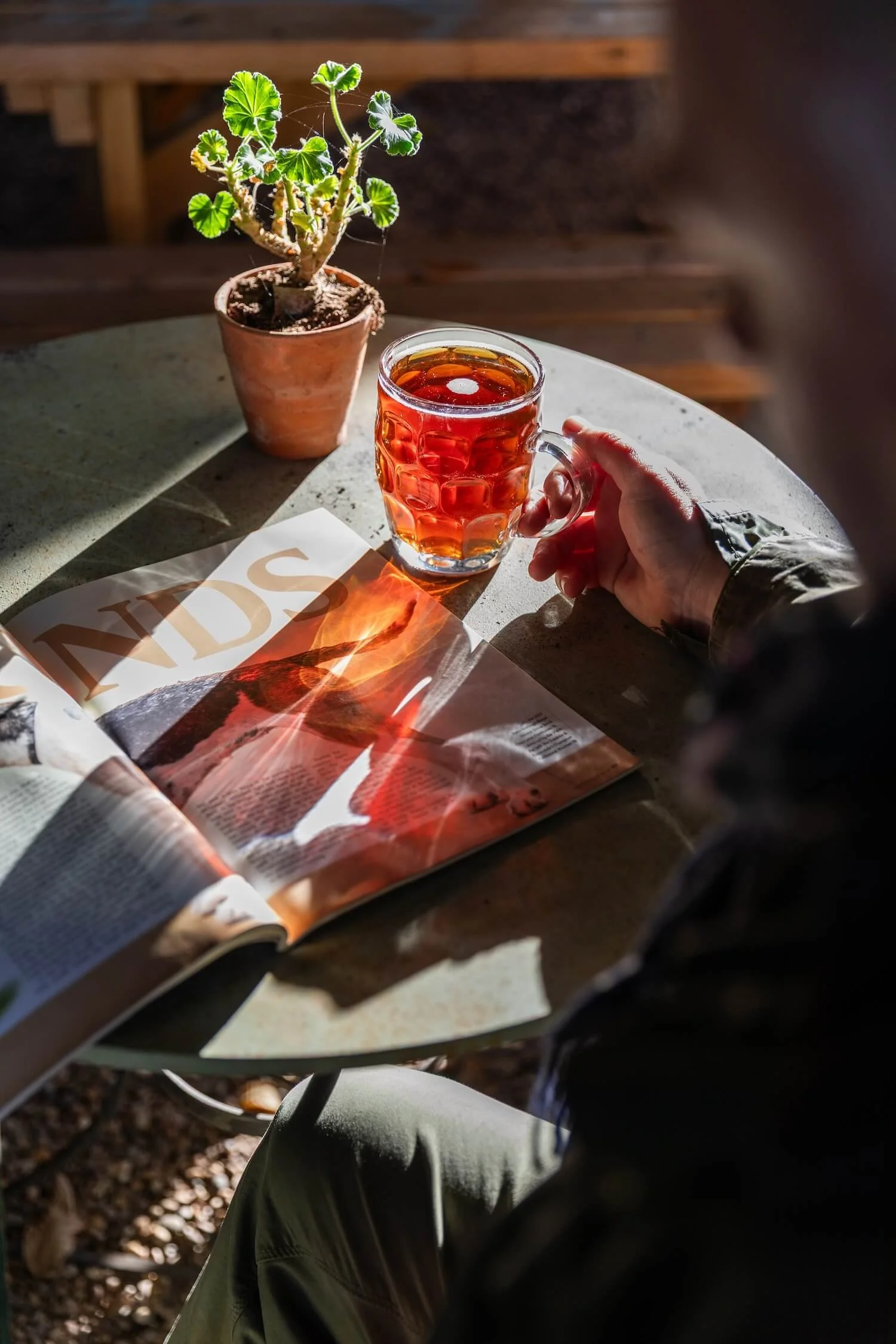 thetalbotinn_pint in the garden_1500.jpg