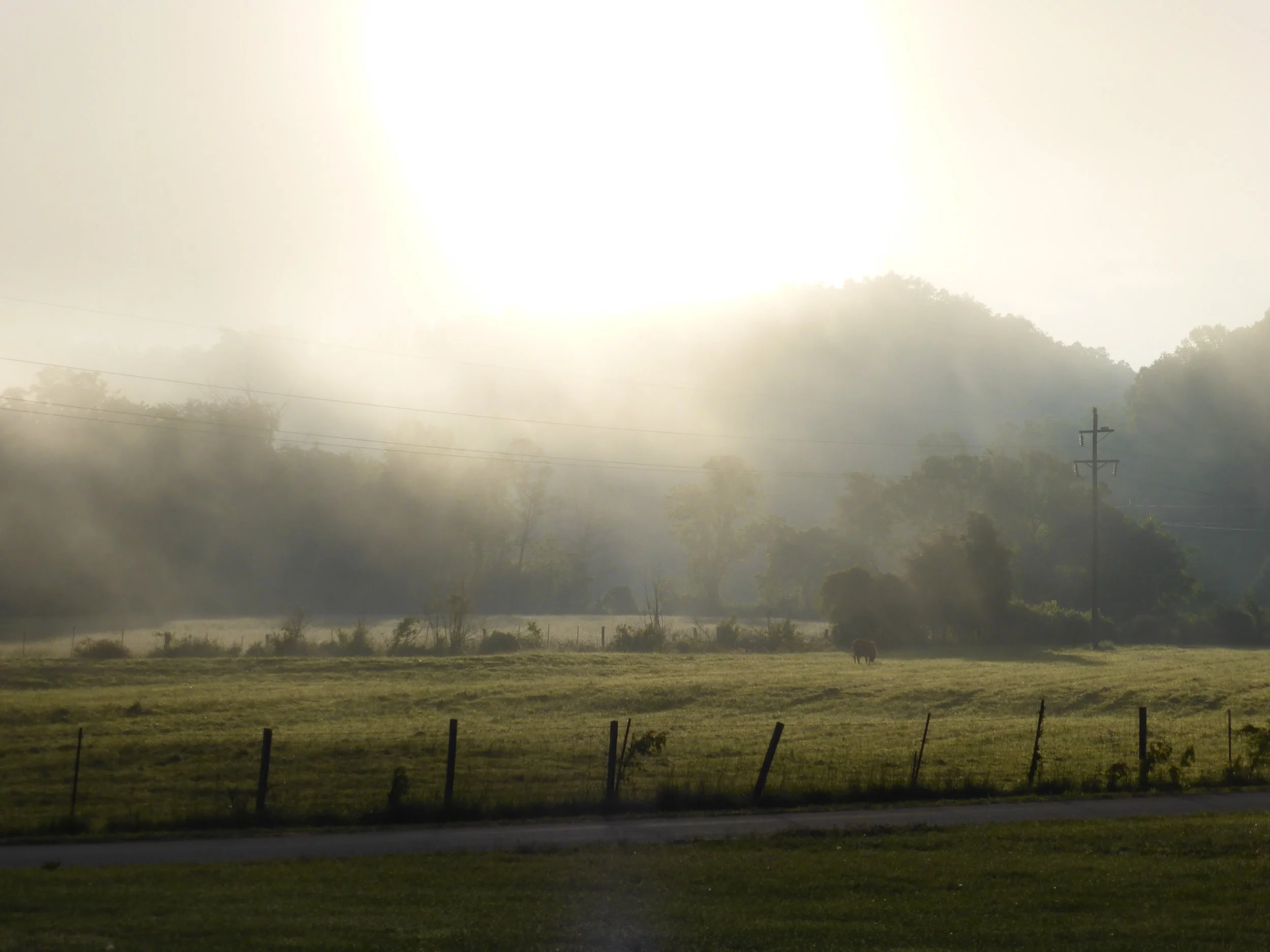 Paul sees the light and is converted in the Bible Belt - Harrodsburg KY to Howardstown KY