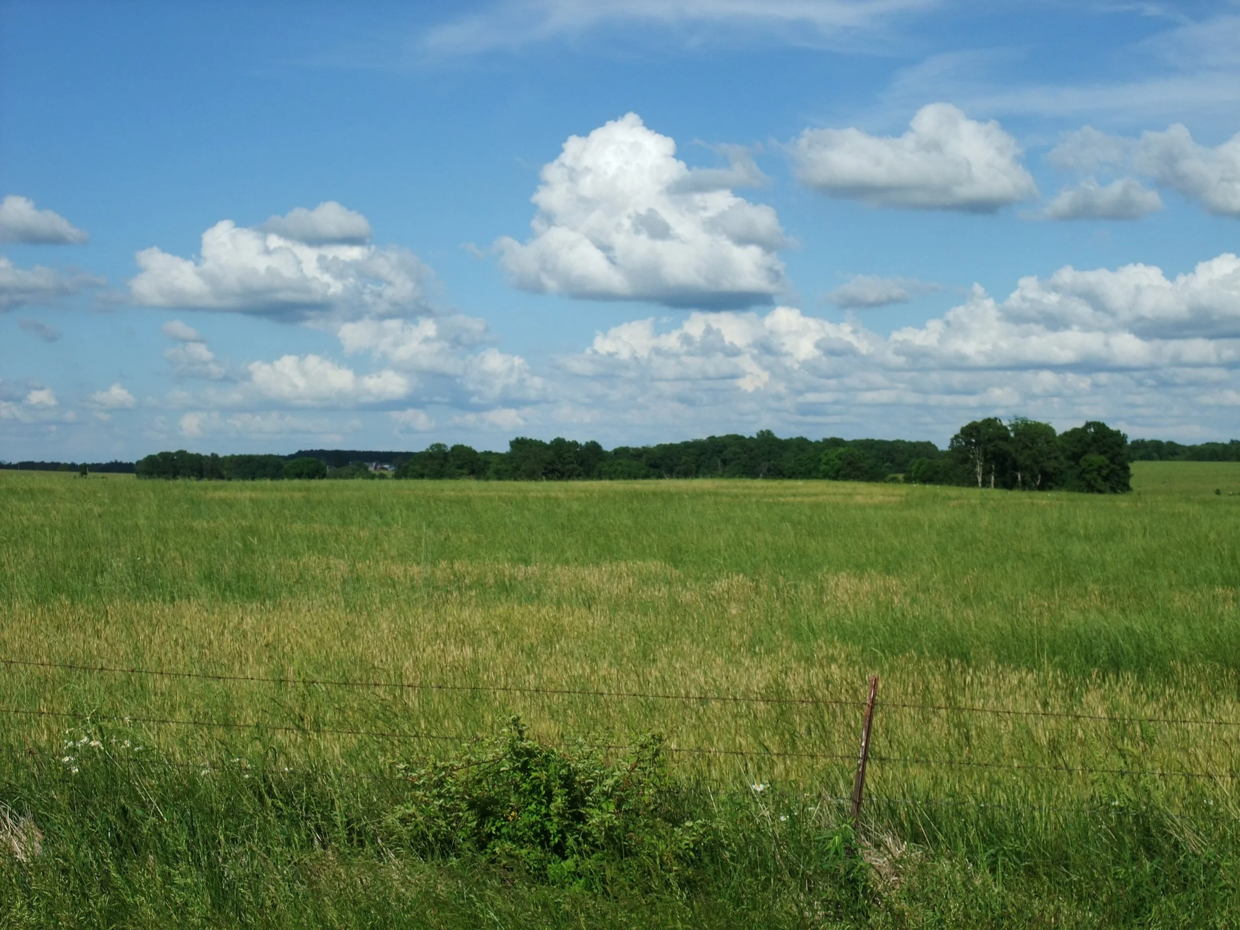 Searching Missouri for Rosie Lee - Marshfield to Everton