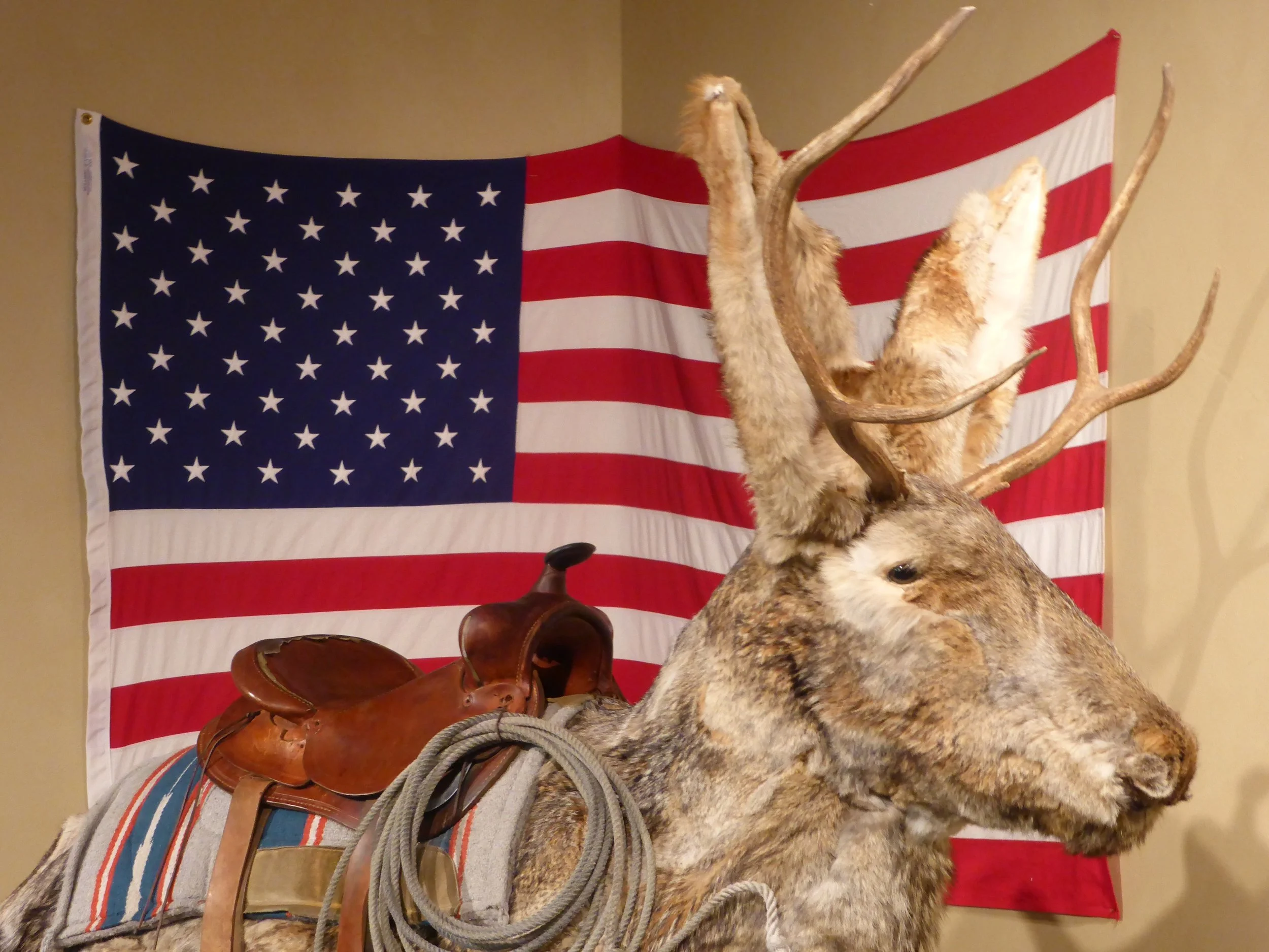 We're Going on a Bear Hunt - Dubois to Jenny Lake, Grand Teton National Park