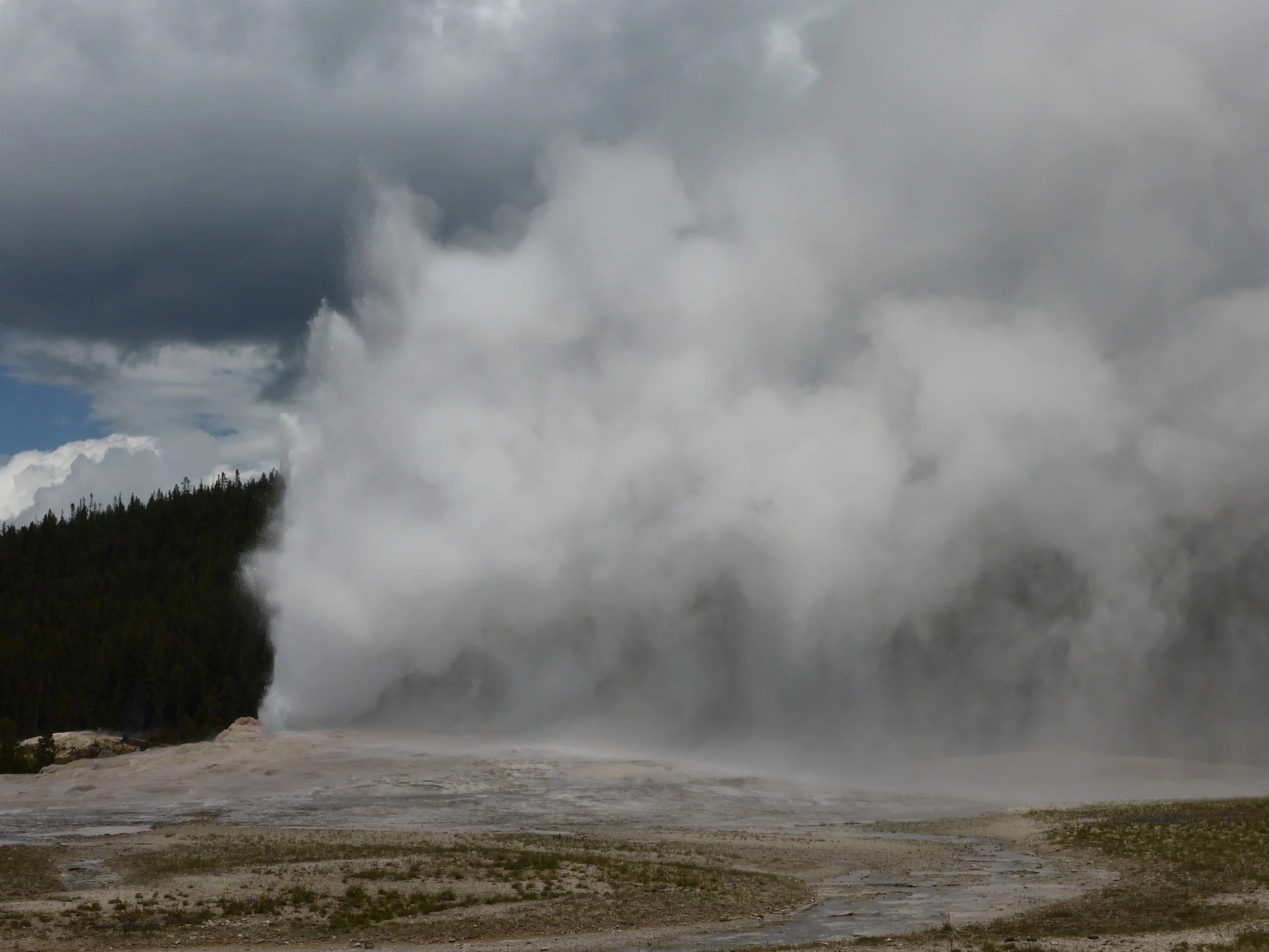 Yellowstone You Almost Blew it! Grant Village to West Yellowstone