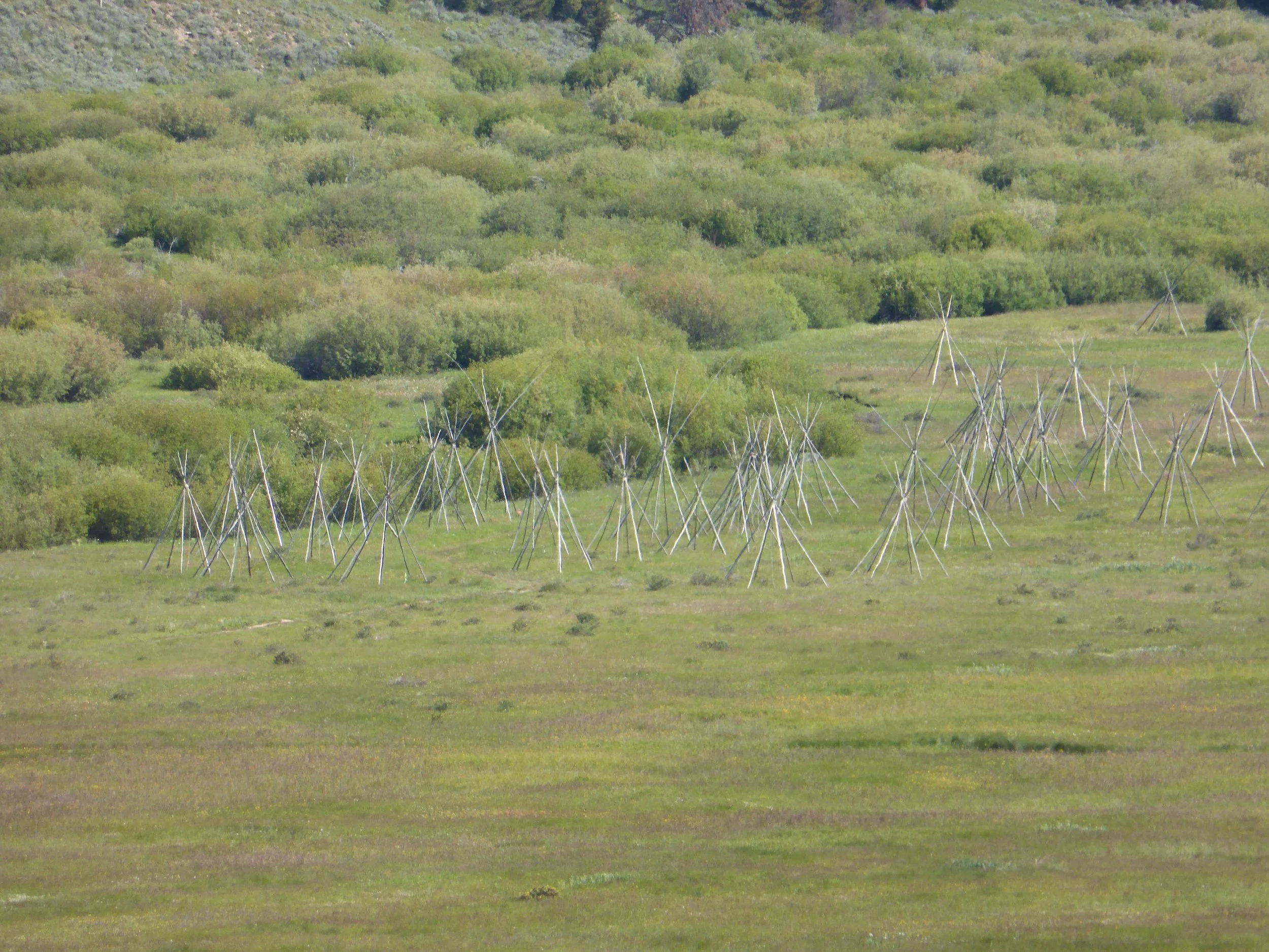 Freedom - but with Reservations - Wisdom to Hamilton