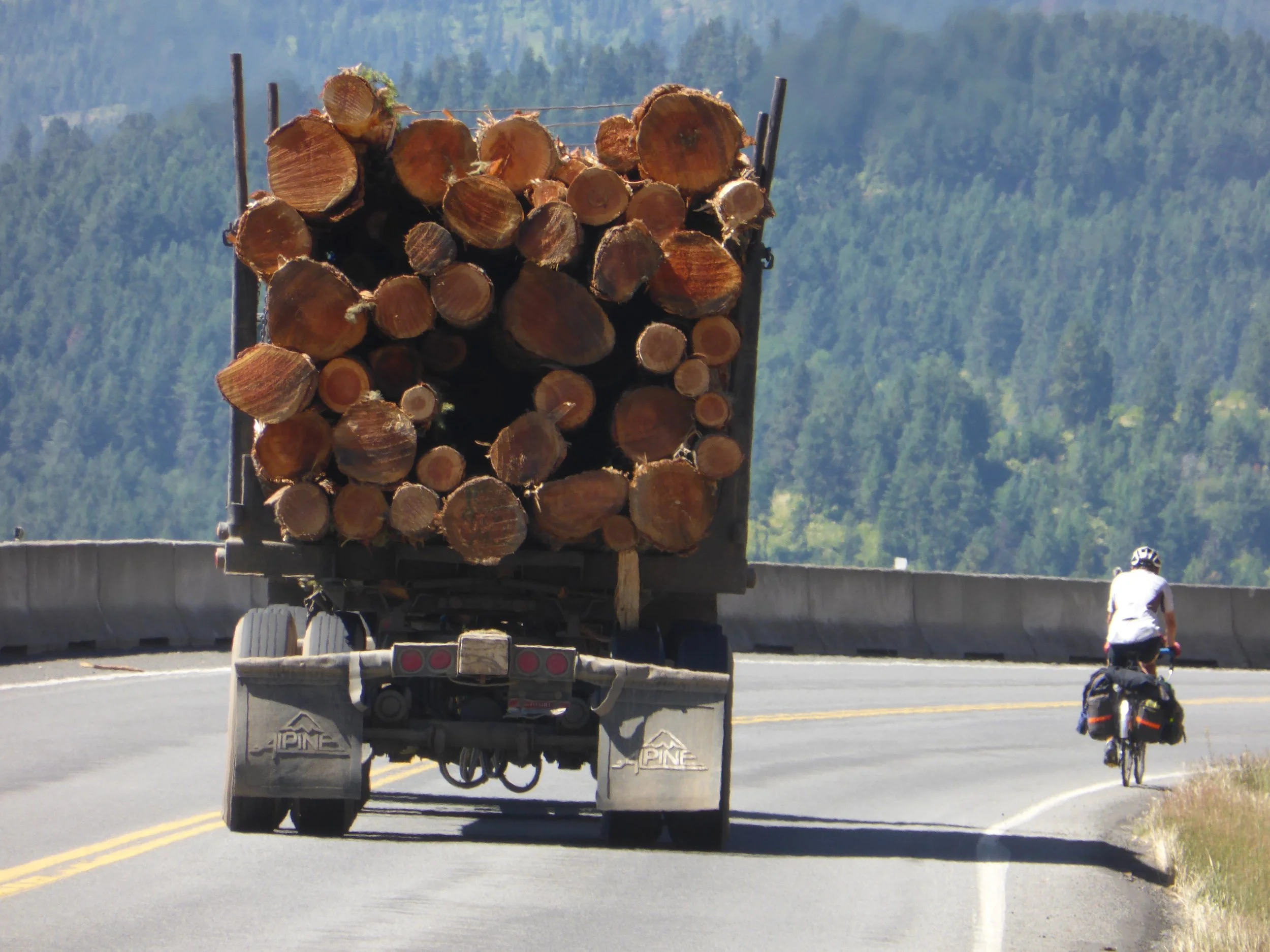 Seeing the Wood for the Trees - Kooskia to White Bird