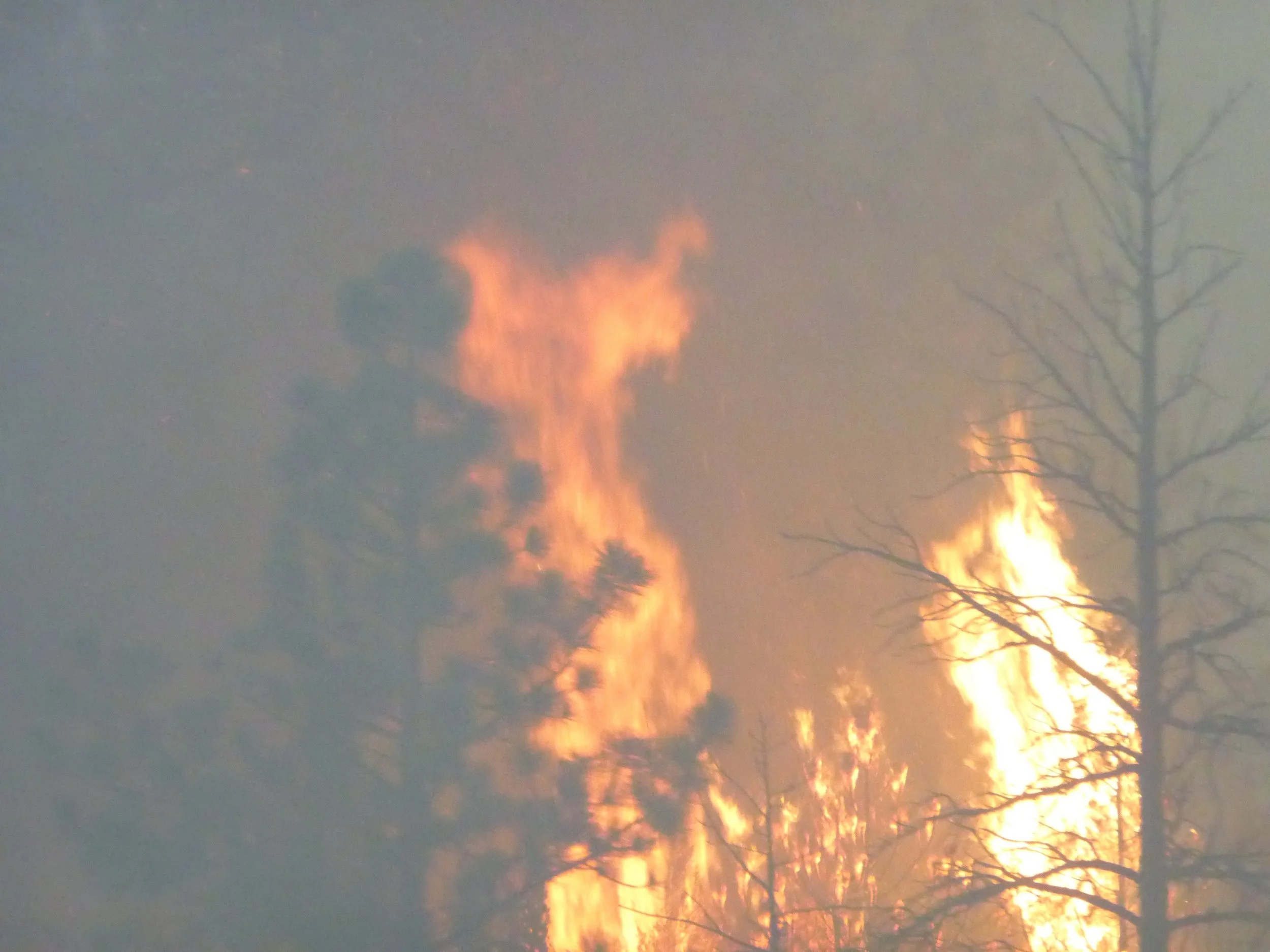 Ring of Fire! Part Two: Ochoco Pass to Ochoco Lake