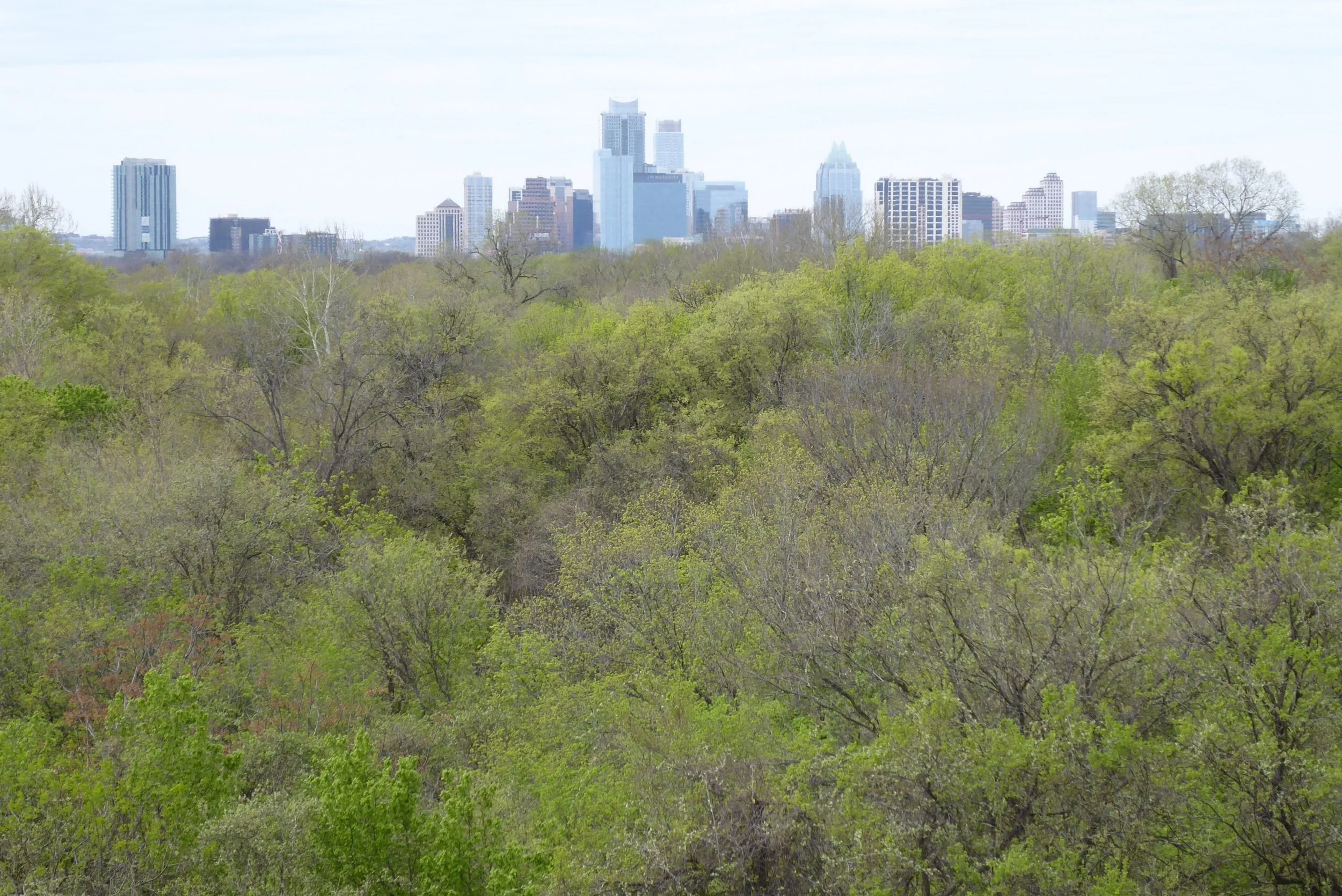 Thoughts of Austin Powers us on.... Bastrop to Austin