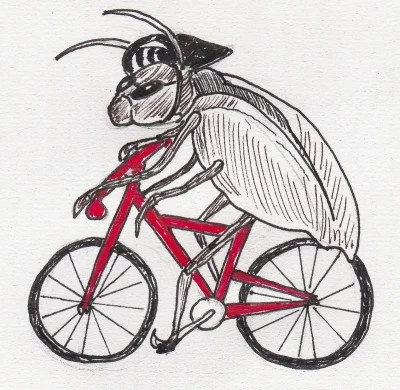 Just give me a Shimano Labrador.