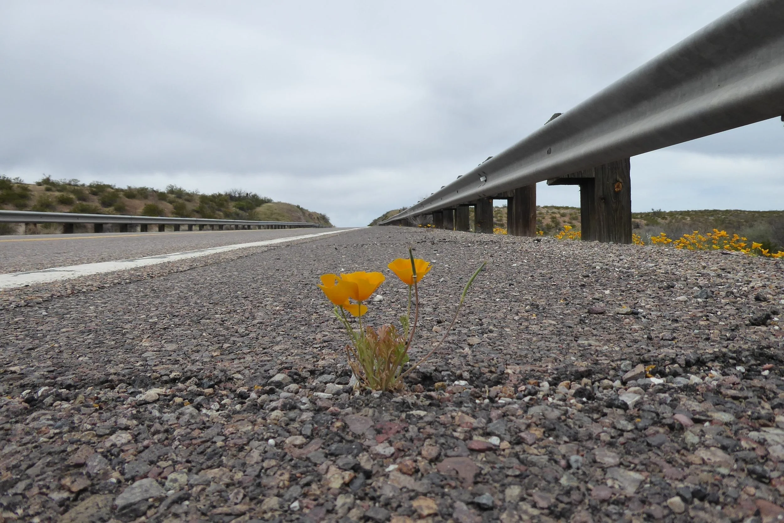 Falling between the cracks in the richest country on earth….  Safford to Globe