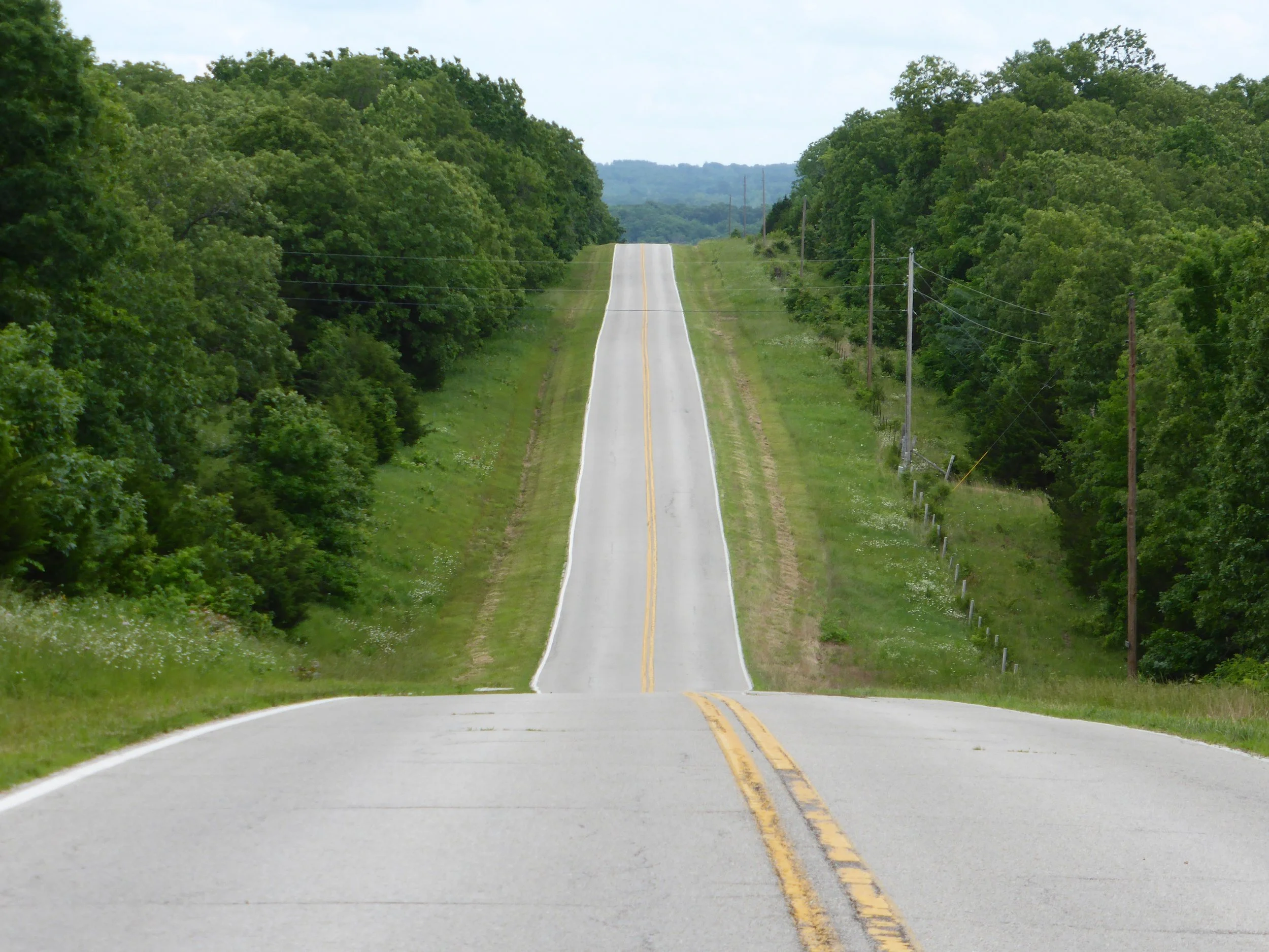 A two-lane rural road extending into the distance, surrounded by lush green trees and grass on both sides. Utility poles line the right side of the road, and the sky is cloudy.