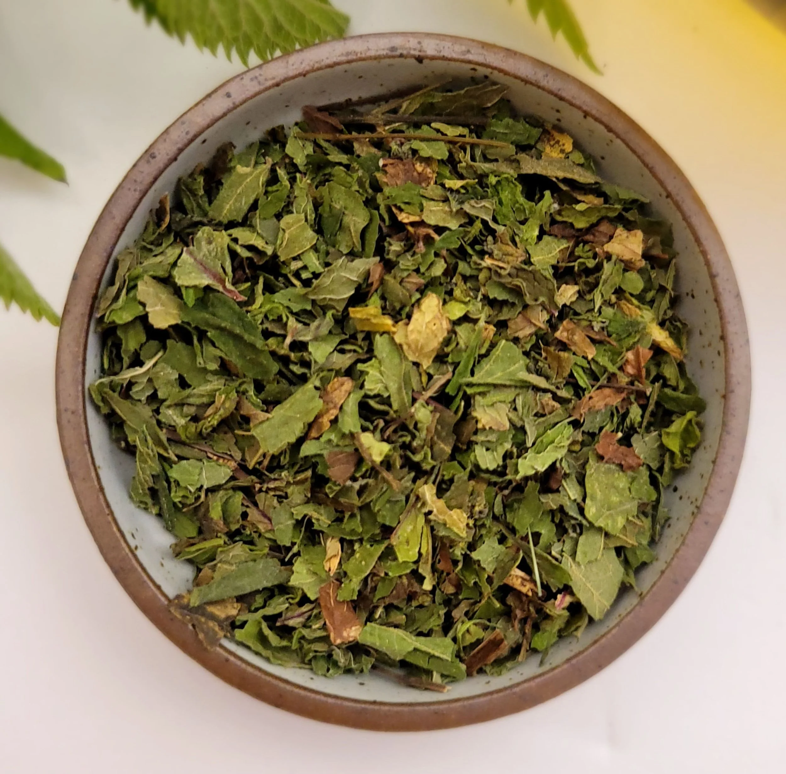 spearmint nettle loose leaf tea in small bowl with nettle leaf in background