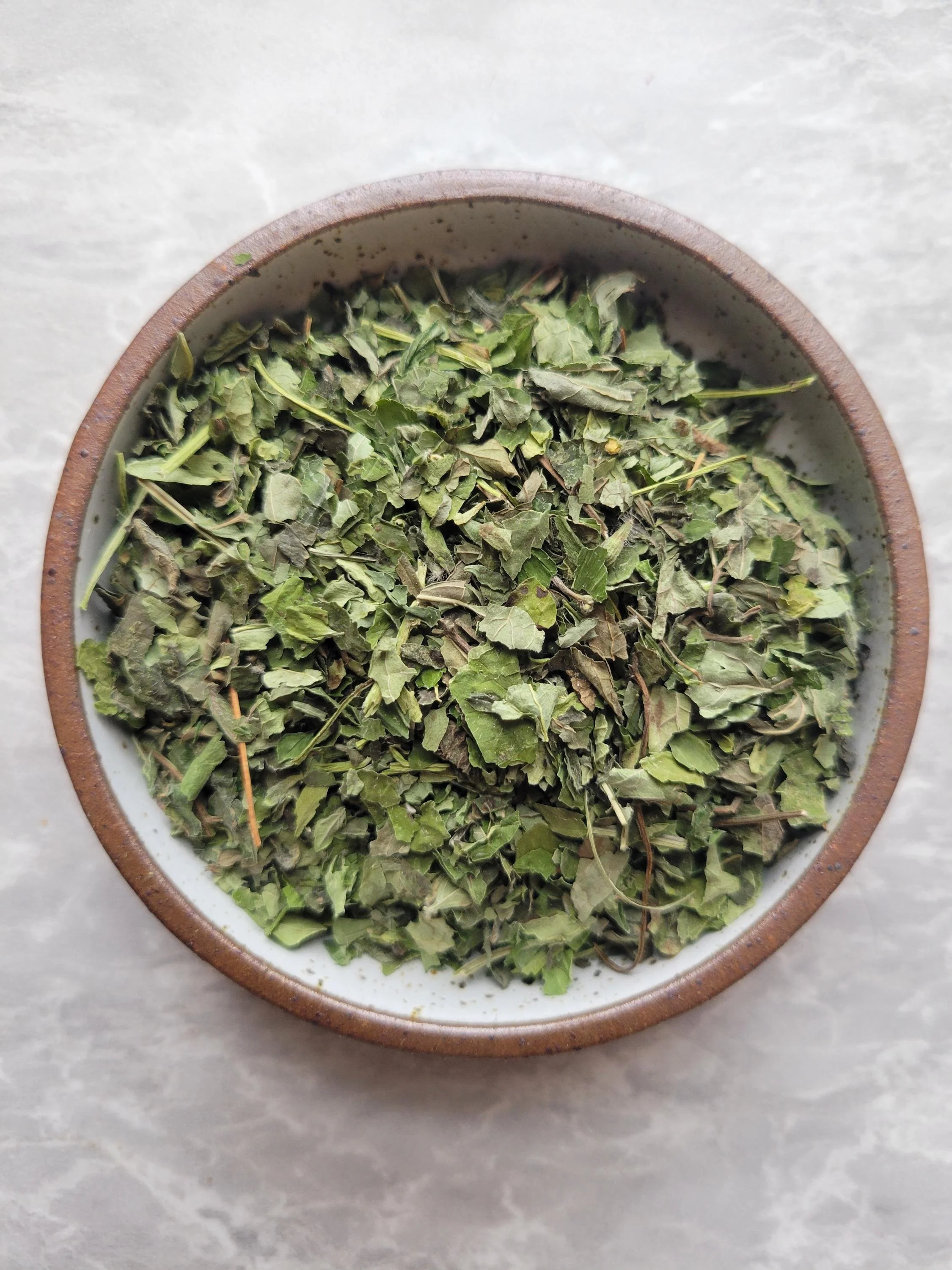 Kapoor Tulsi, Holy Basil (Ocinum africanum)