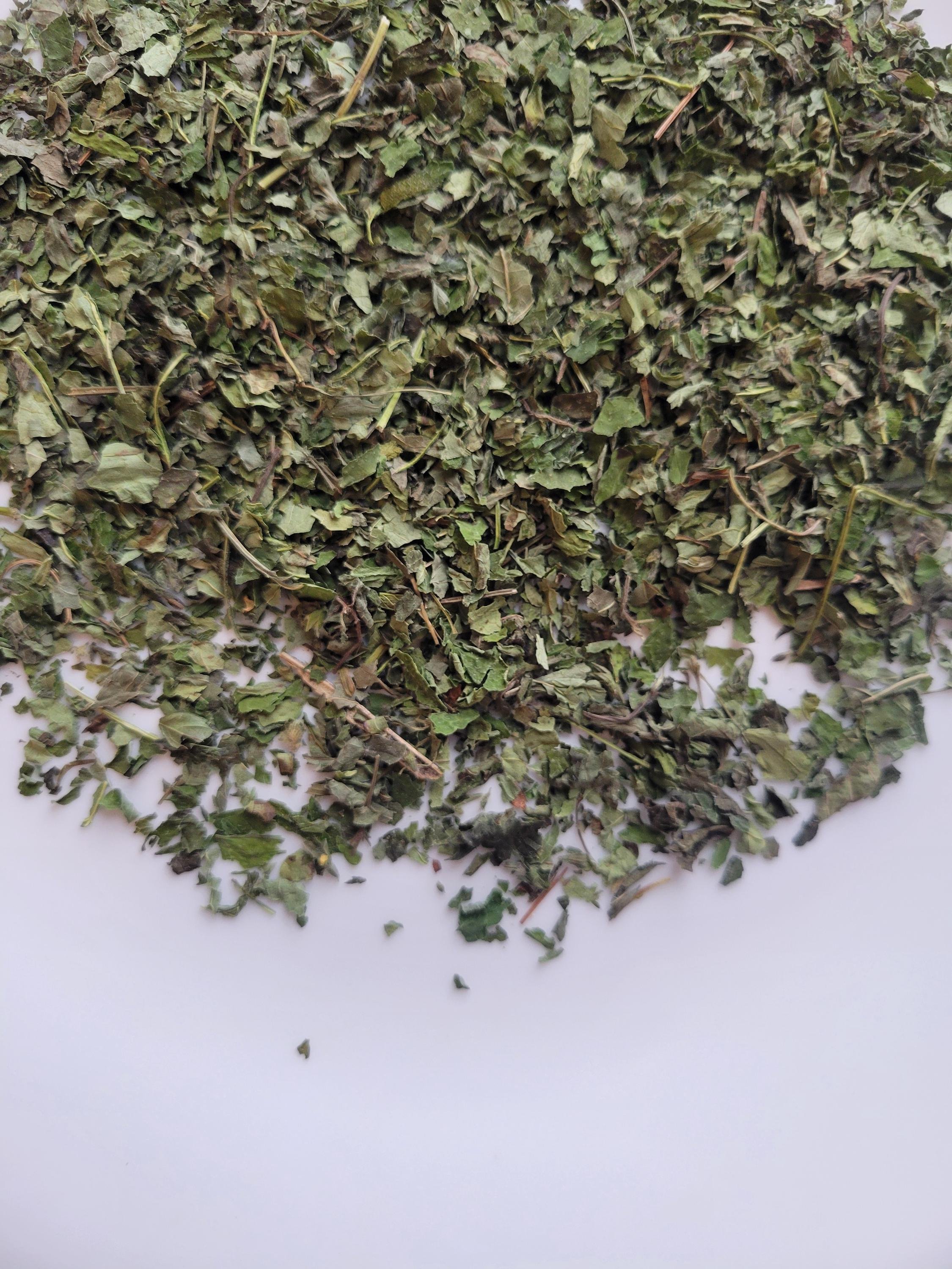 Tulsi herb on white surface