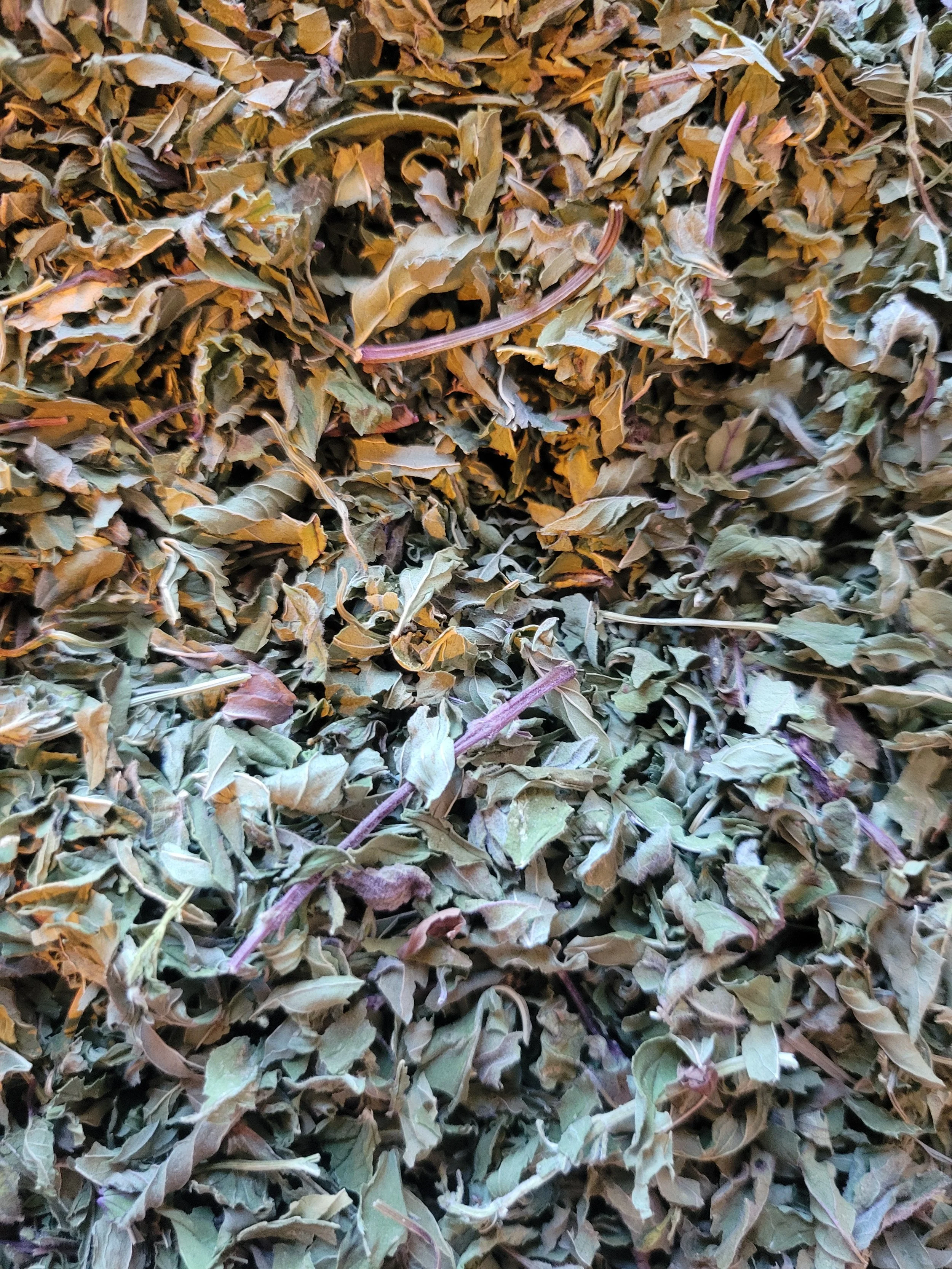 dried mint leaves