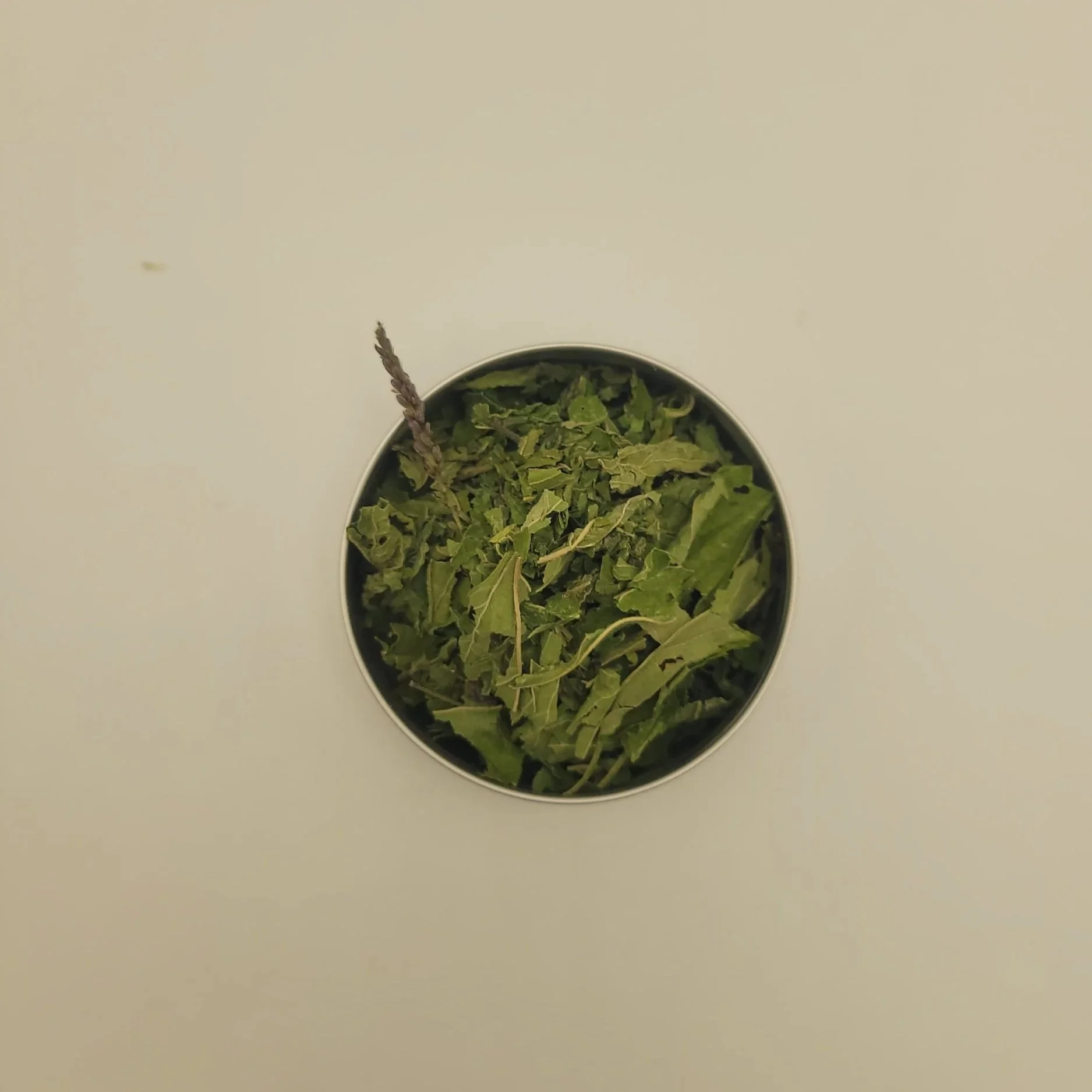 Blue Vervain herb in small bowl