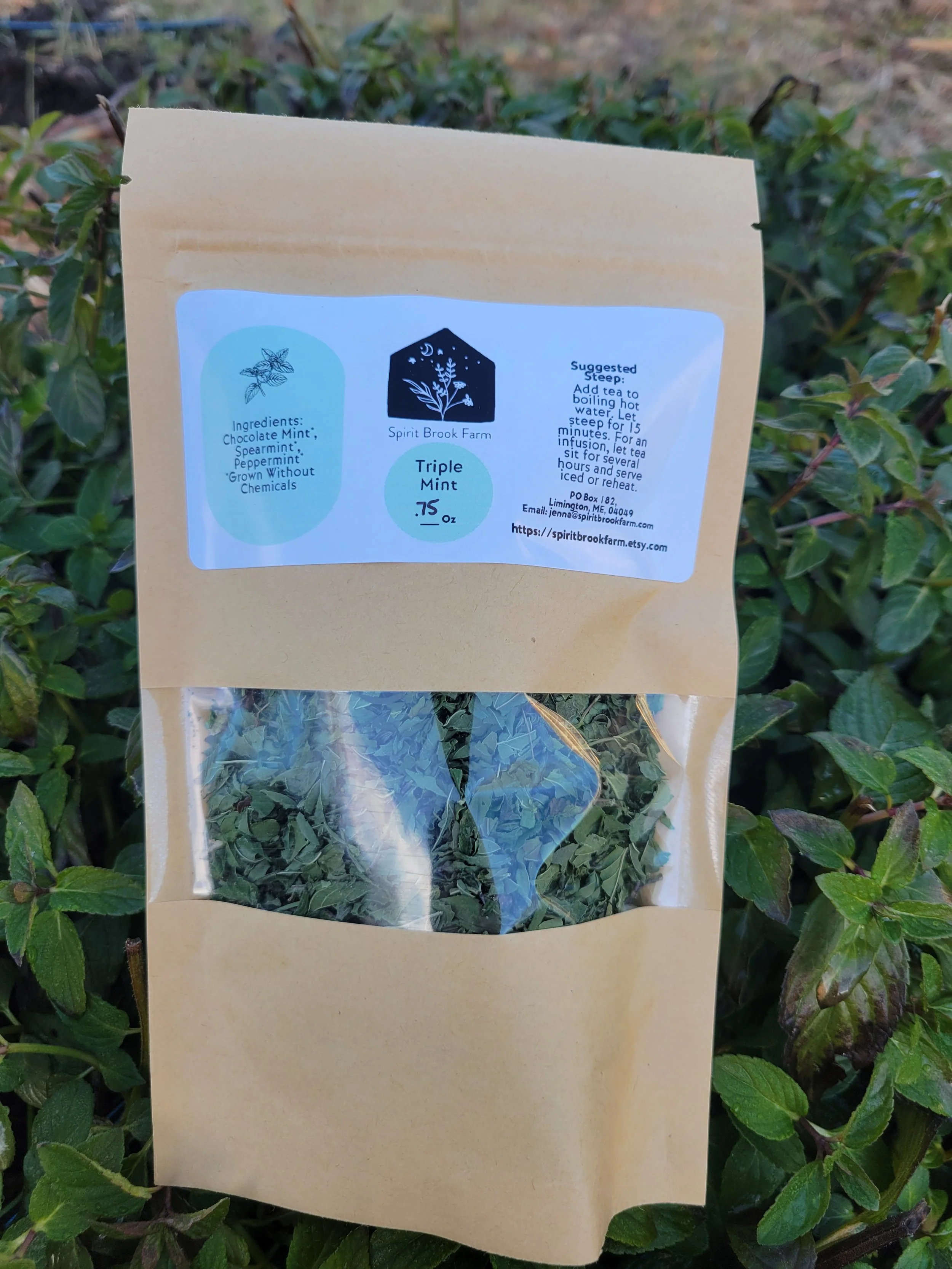 Triple Mint Tea .75 Oz in outdoor photo in field