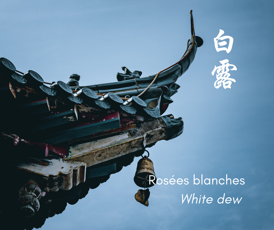 Les rosées blanches - White dew