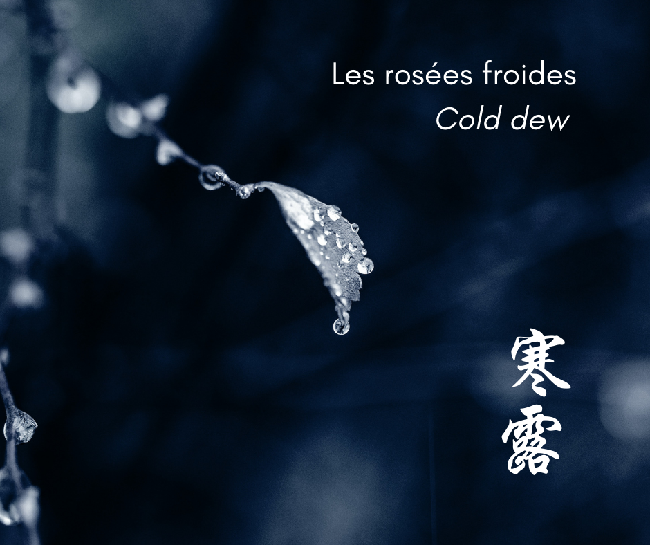 Les rosées froides - Cold dew