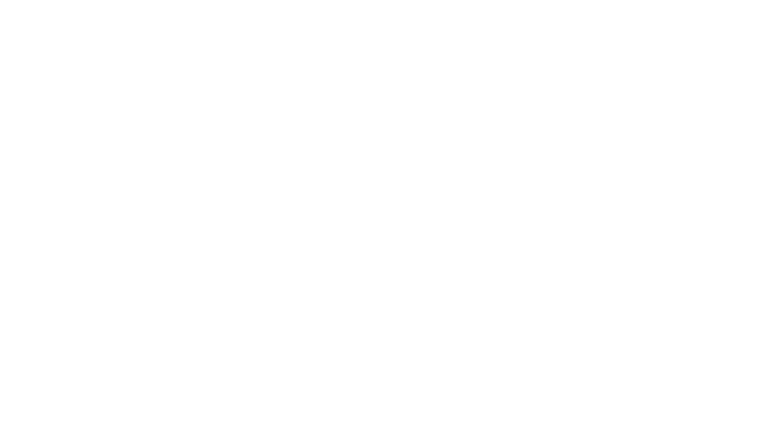 The Alamo Guest House