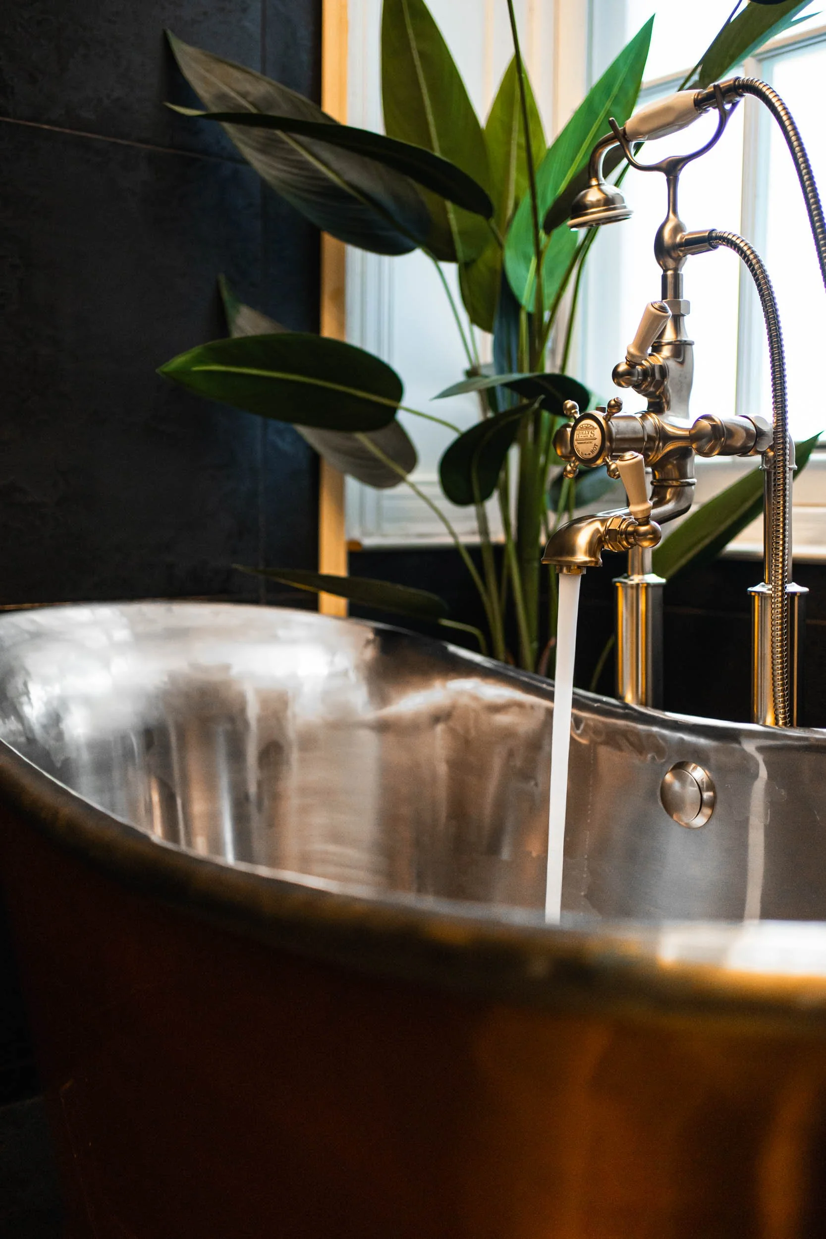 Alamo Bute - 0029.jpg