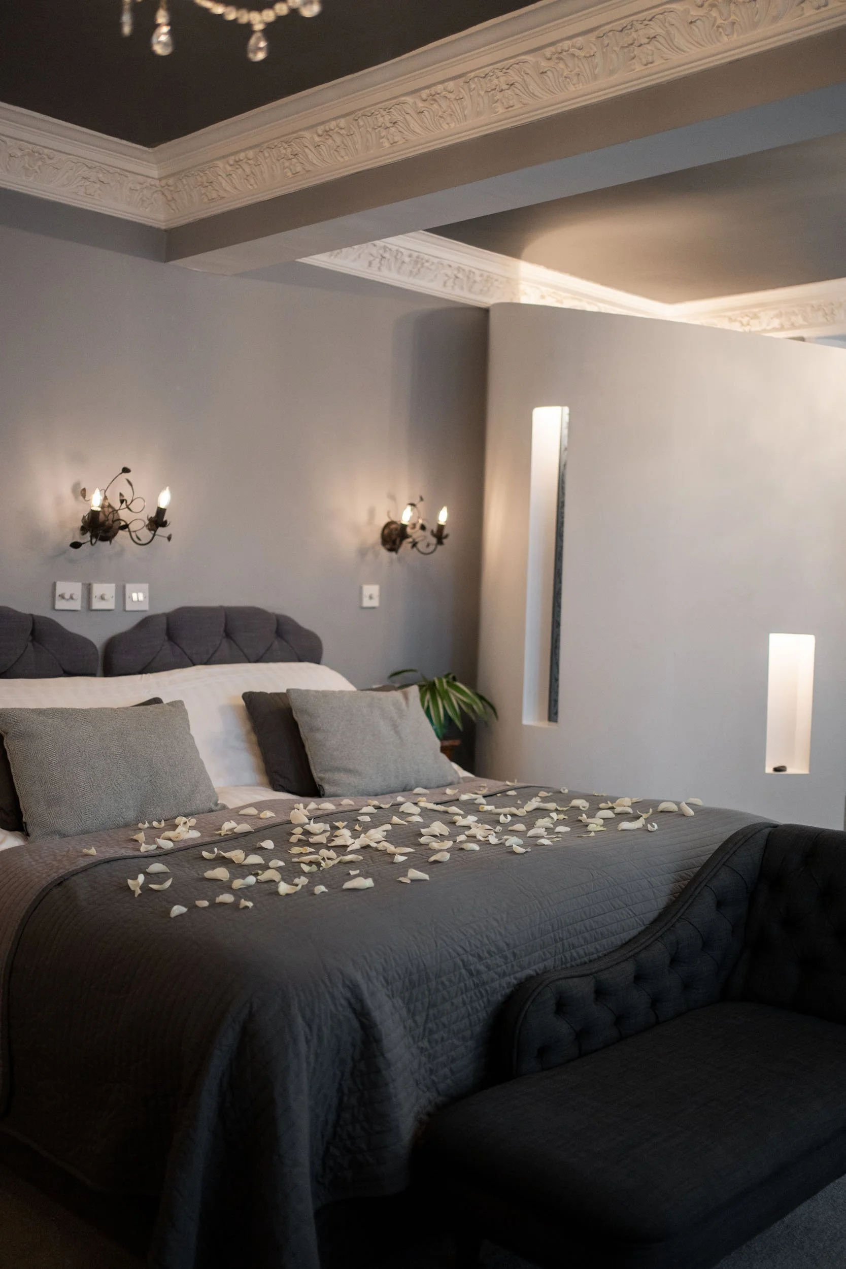 Alamo Extra - 0010.jpg