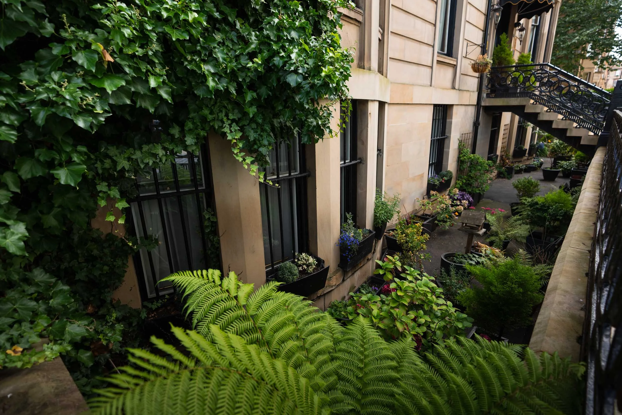 Alamo Ext - 0007.jpg