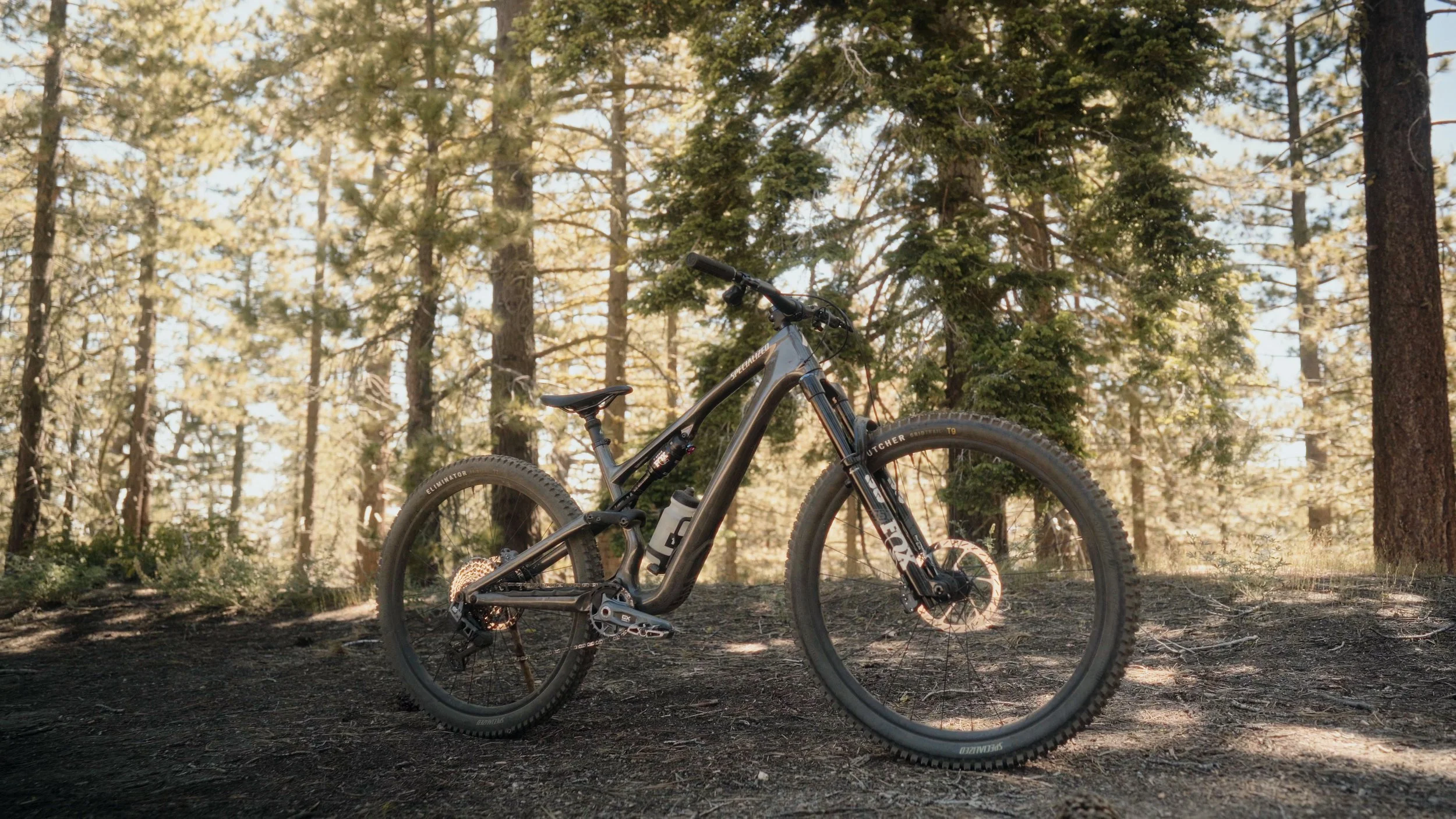 A mountain bike resting on a dirt trail in a forest with tall trees and sunlight filtering through the branches.