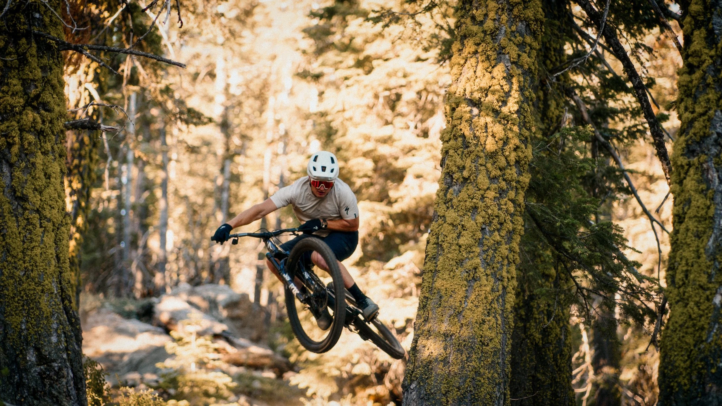 A mountain biker in a white helmet and sunglasses riding through a forest with moss-covered trees.