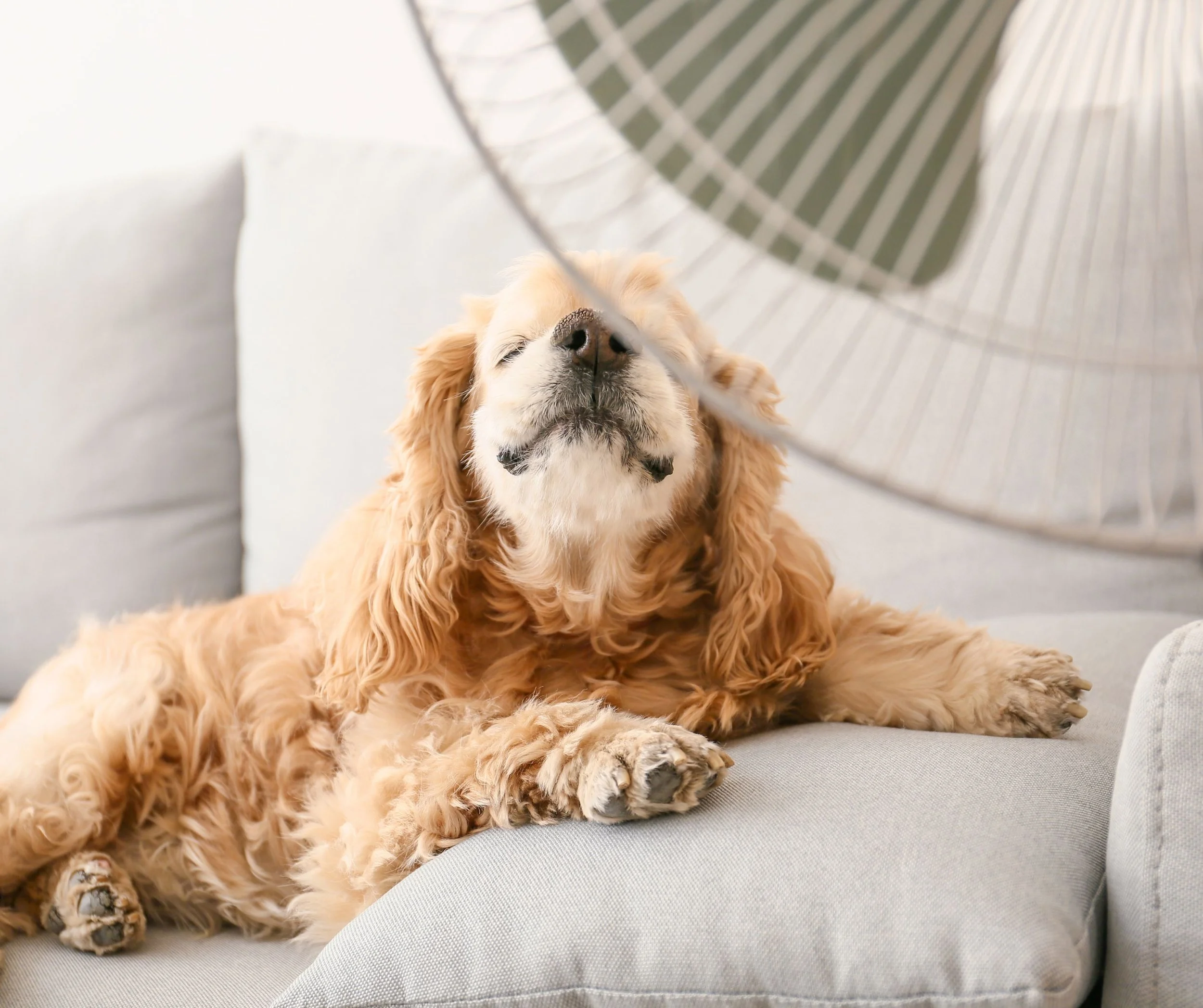 What to Do When Your AC Stops Working in the Middle of Summer (North Little Rock Guide)