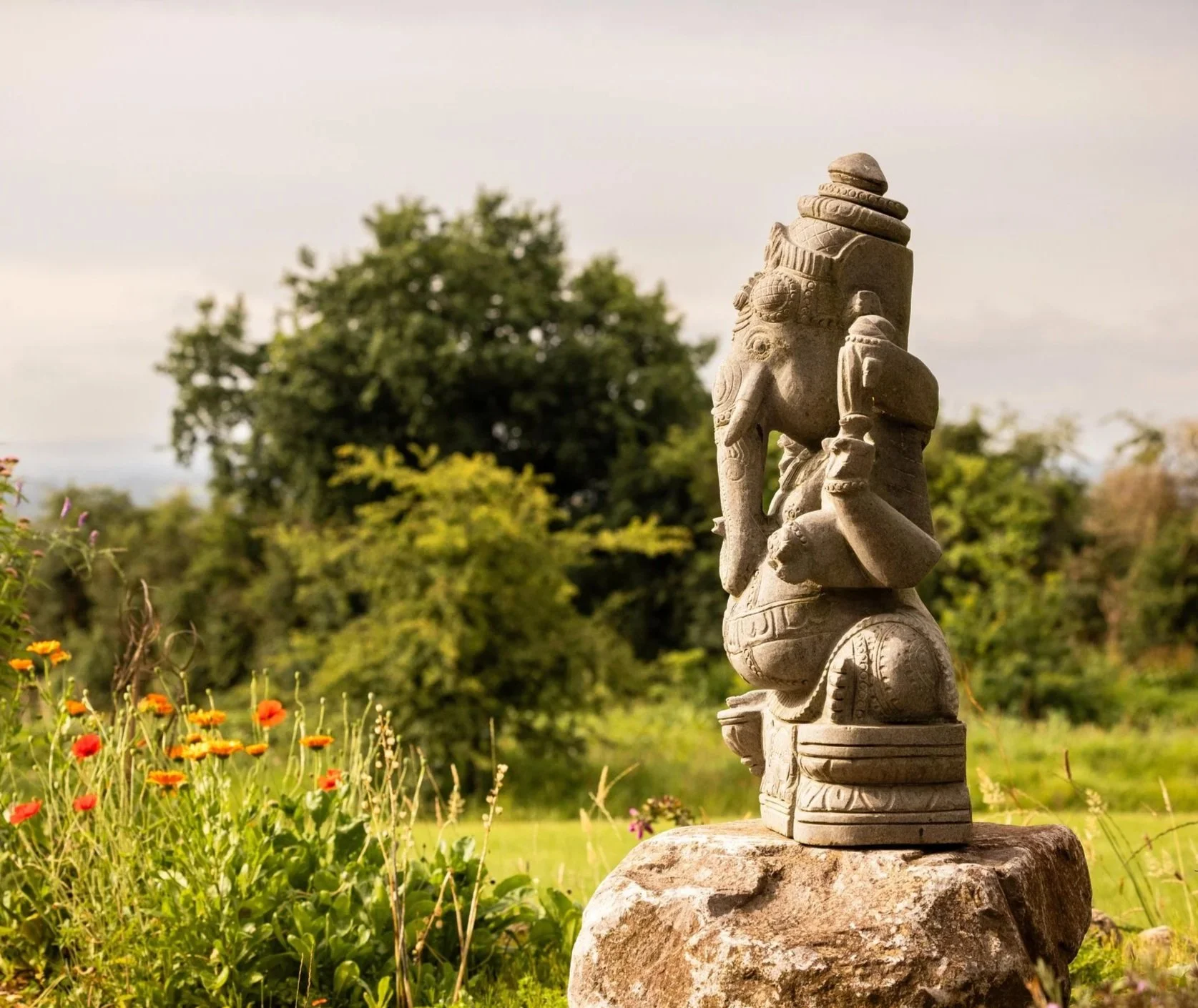 Ayurvedic Rejuvenation Retreat: 2nd - 6th Nov