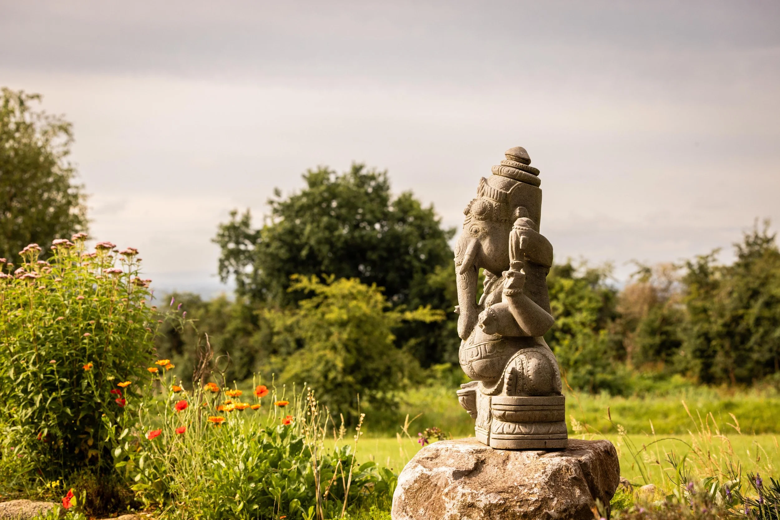 Summer Rejuvenation Workshop at Arunachala