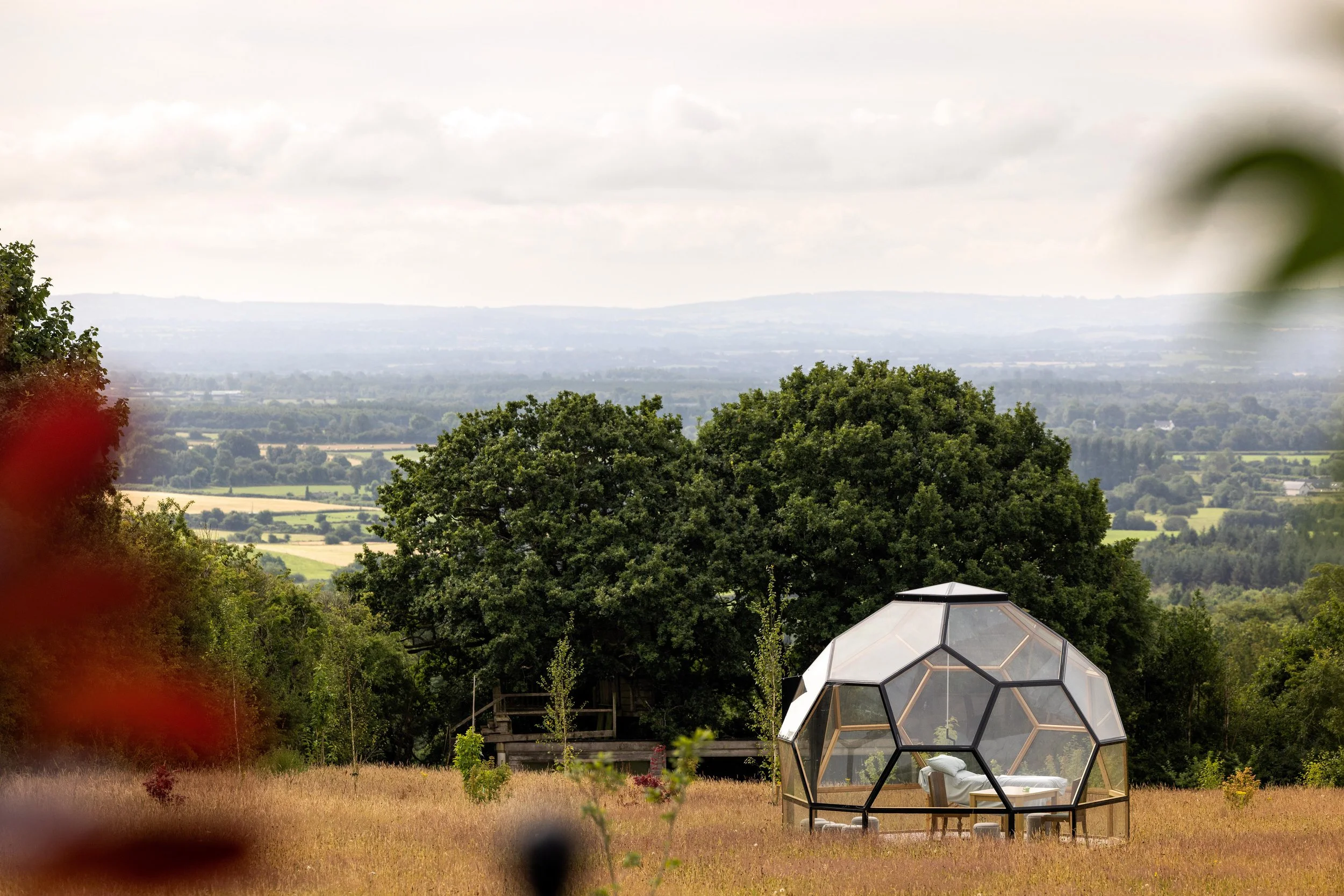 Arunachala is a rejuvenation and wellness centre harmoniously nestled in an Irish forest landscape. Holistic health and wellness, yoga and meditation retreats in Co. Louth, Ireland. 