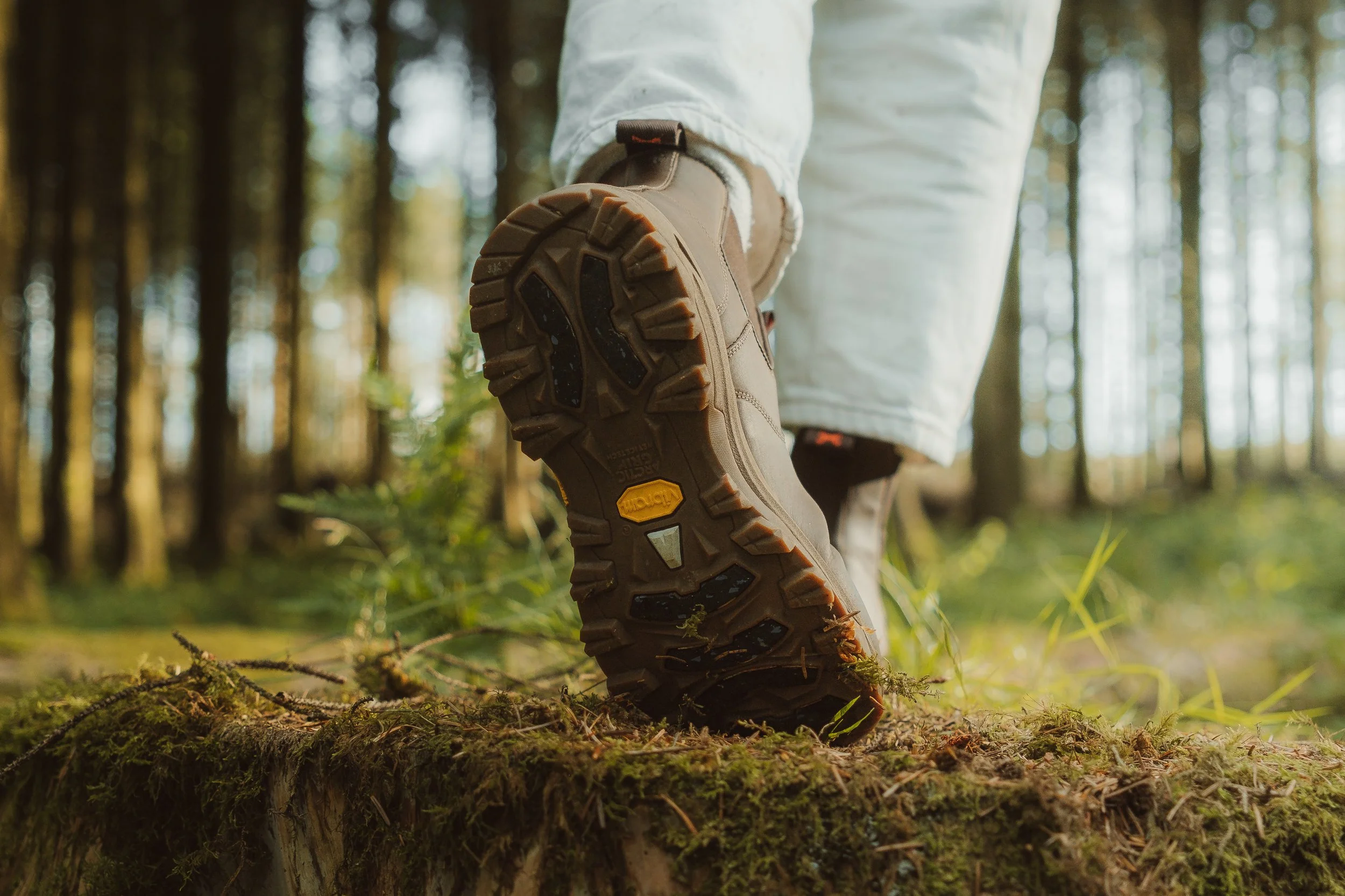 Lightroom Lanx Collection-22.jpg