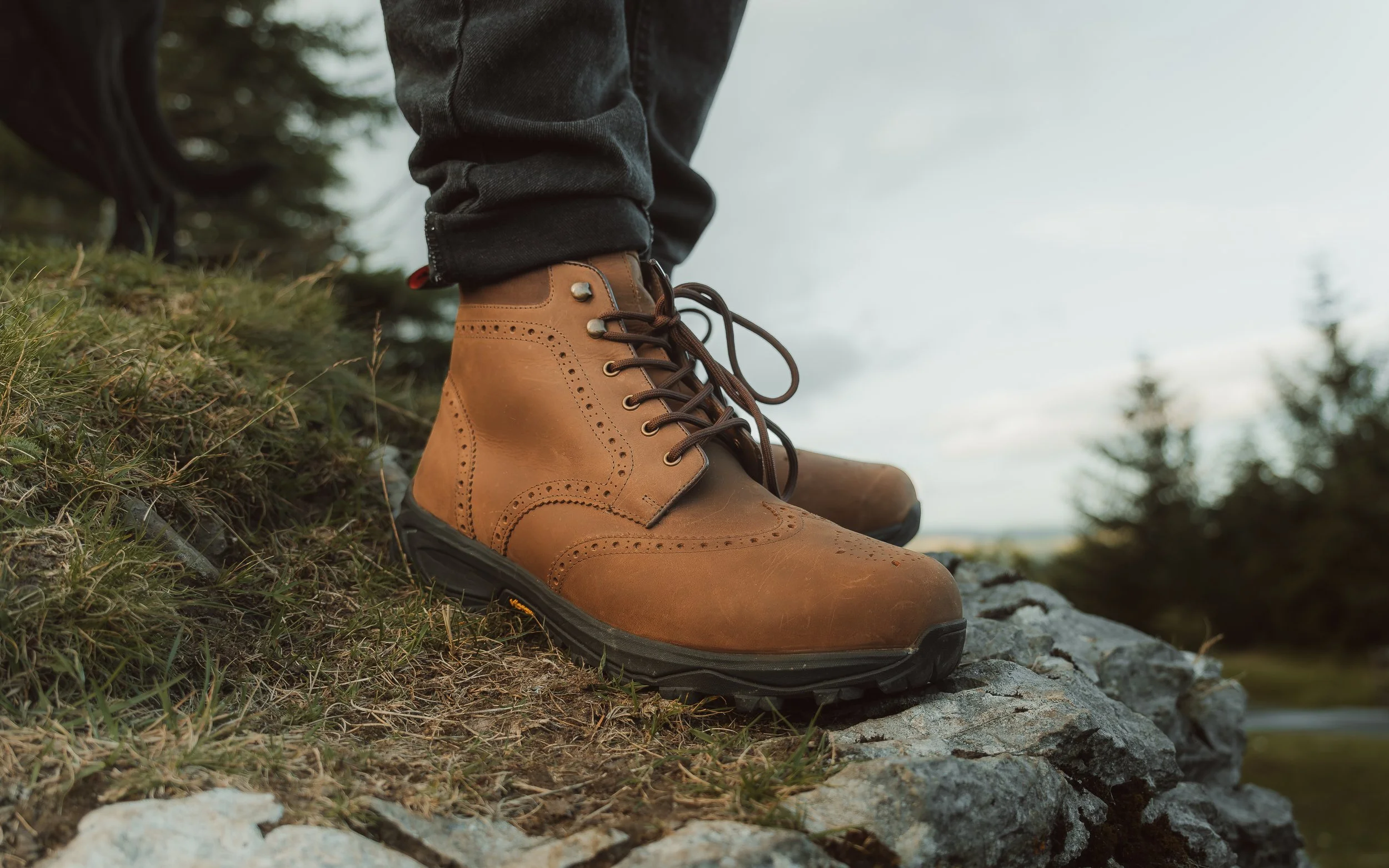 Lightroom Lanx Collection-36.jpg